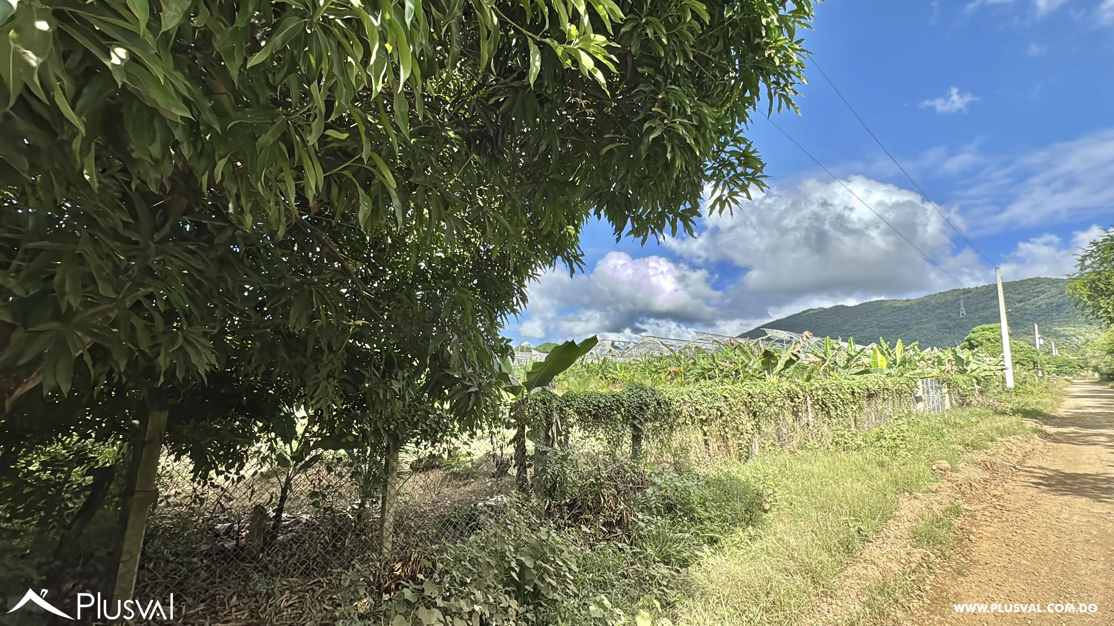 Vendo Maravillosa Finca con Importantes Mejoras en Pedro barnd 479759