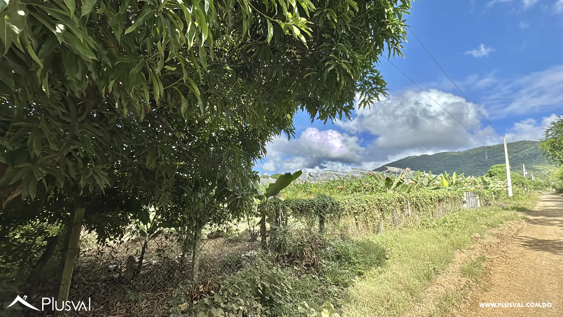 Vendo Maravillosa Finca con Importantes Mejoras en Pedro barnd 479759