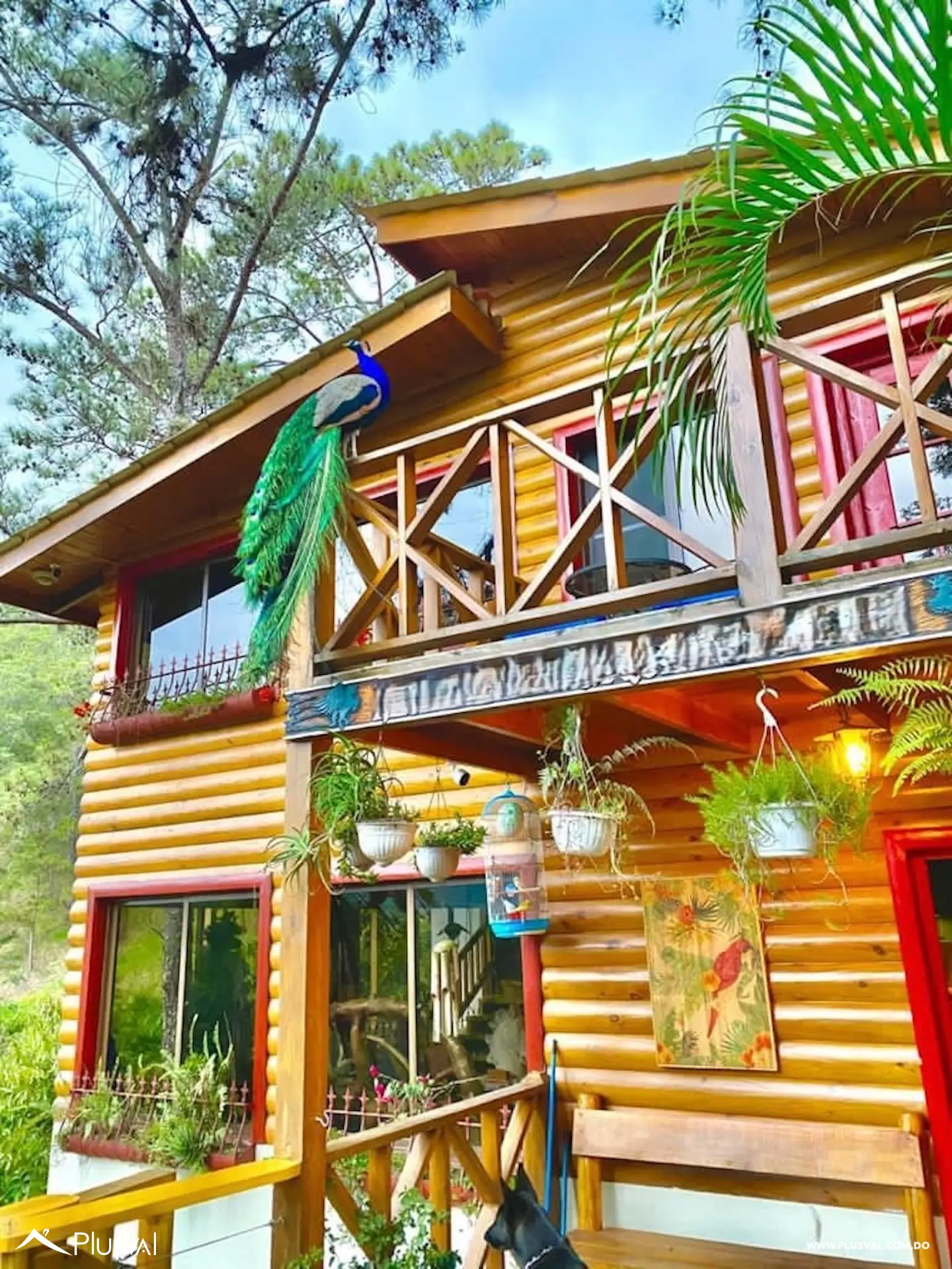 Villa con Caballeriza en venta en Jarabacoa 453036