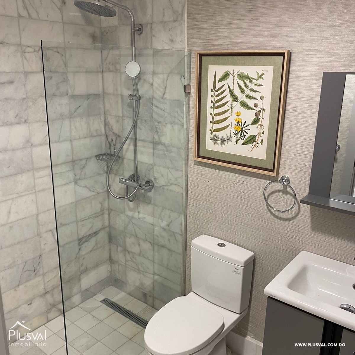 Apartamento amueblado en alquiler, Piantini 197754
