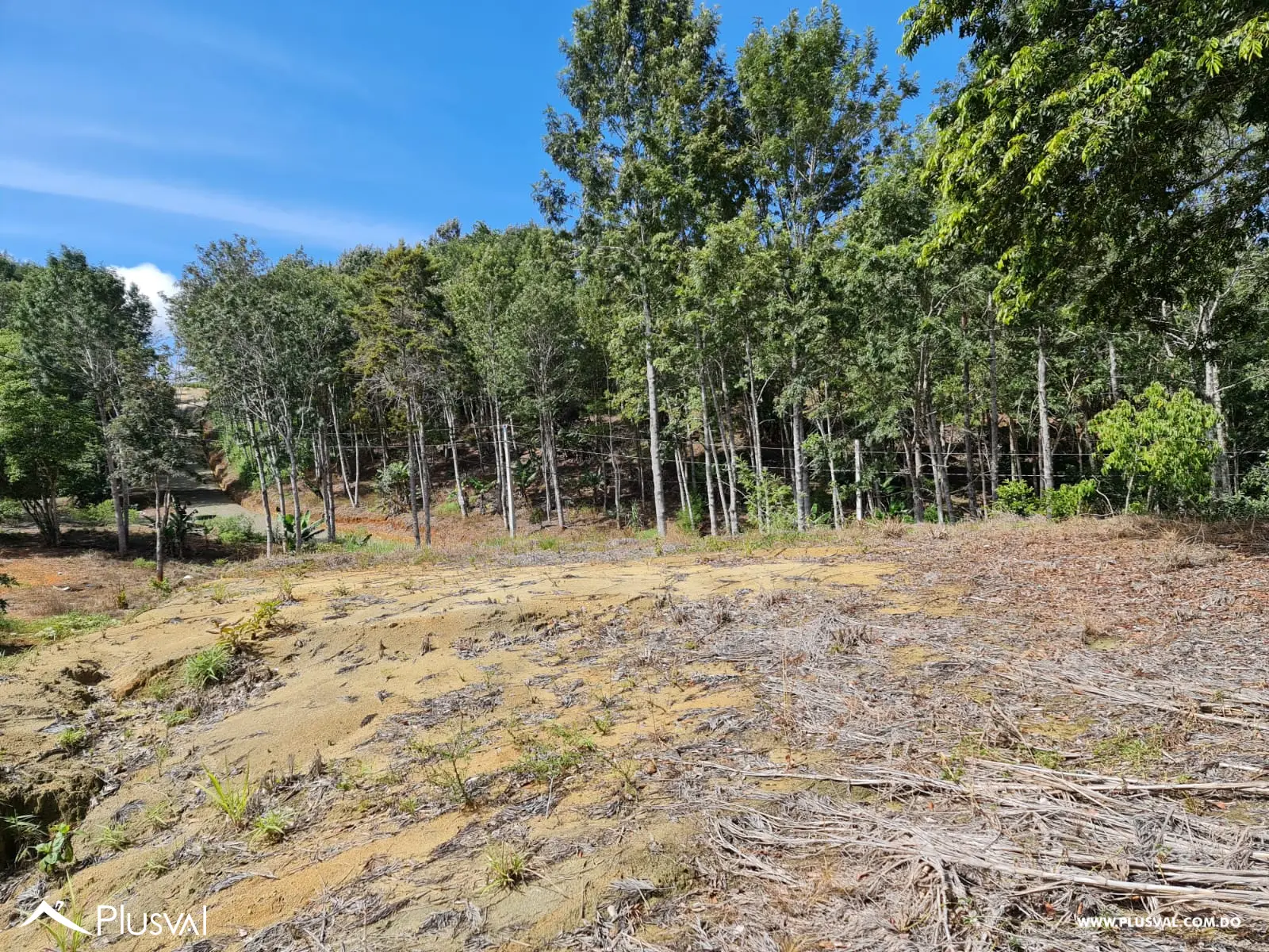 Solares en Constanza - Proyecto de Montaña - Clima Frío y Relajado 483835
