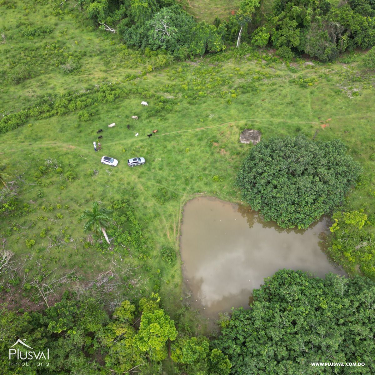 Finca en venta en Las Terrenas, inversión ideal en el paraíso 450783