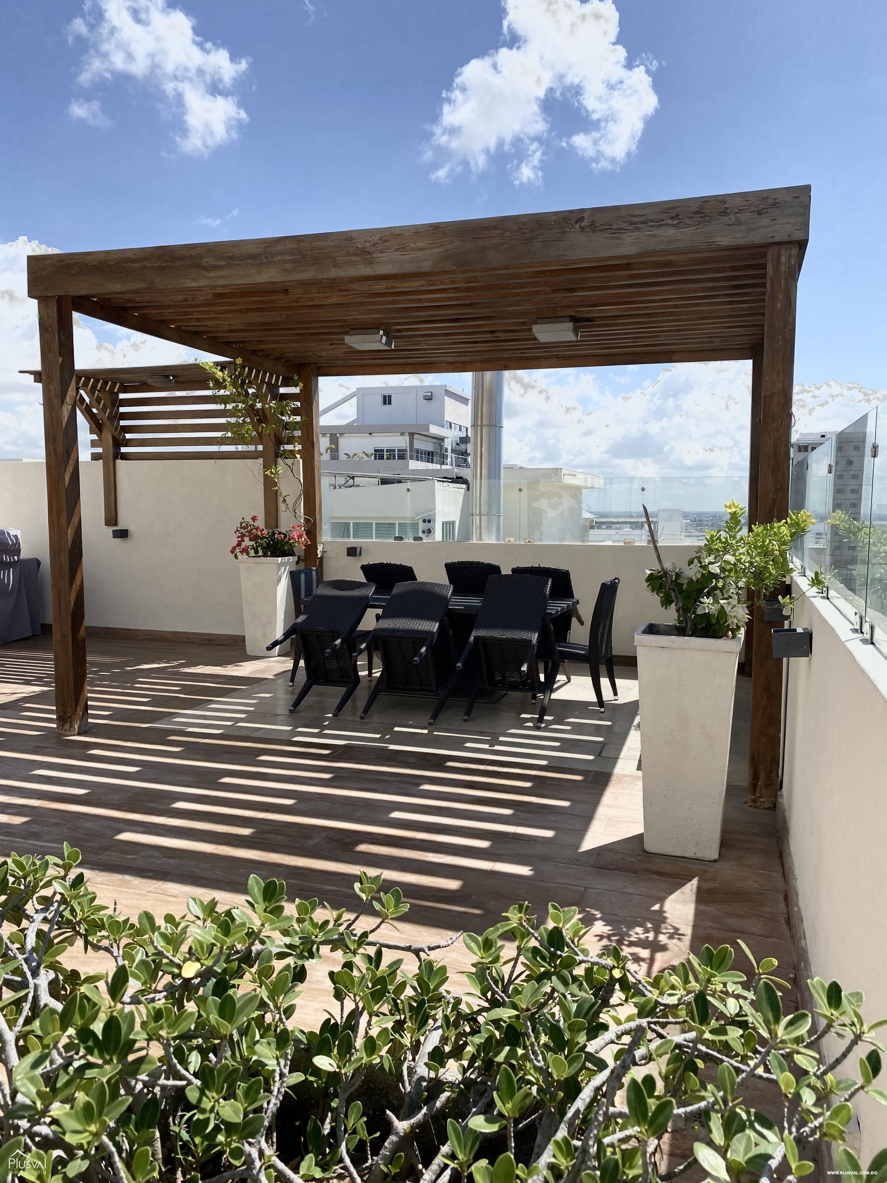 Apartamento en venta en Naco, piso 10 273229