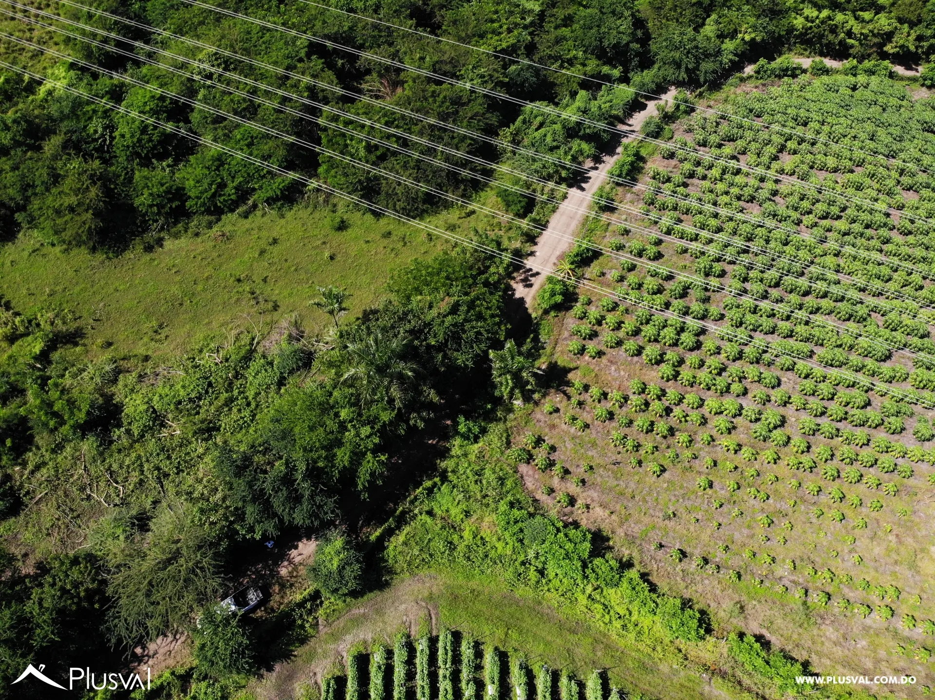 Se vende finca en Baní 460692