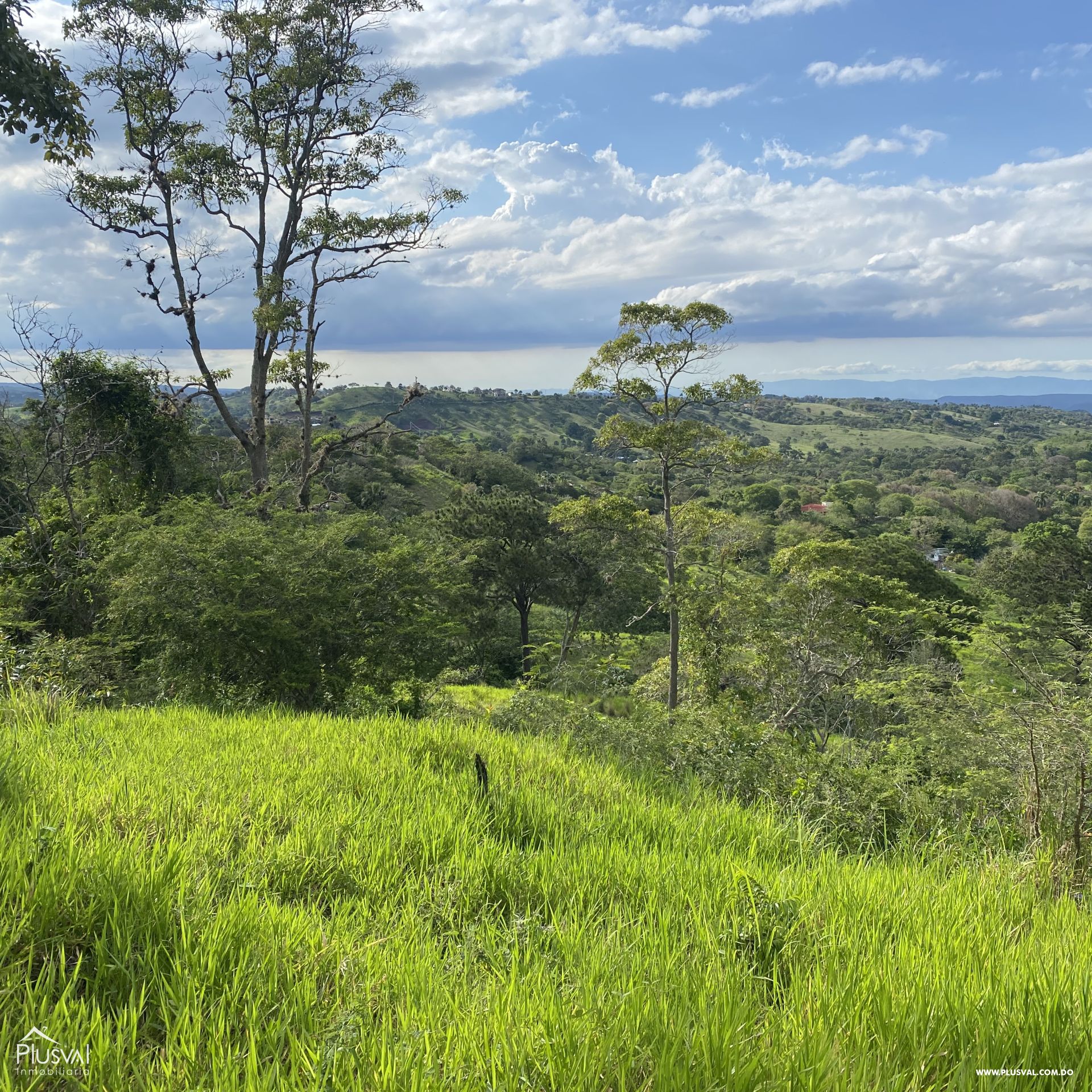 Finca Ganadera en Sajoma 353032