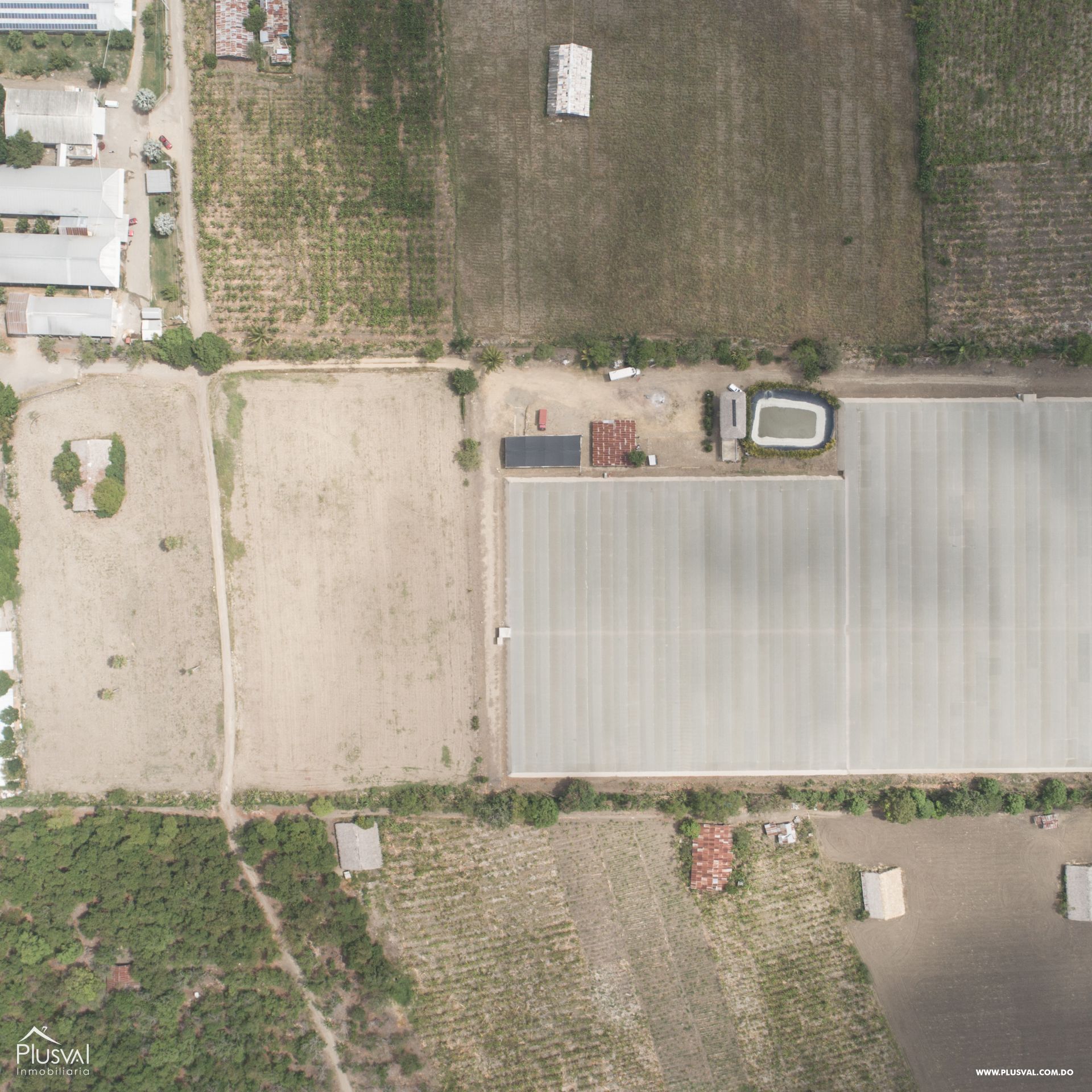 Proyecto de invernadero 25,000 m2 147295