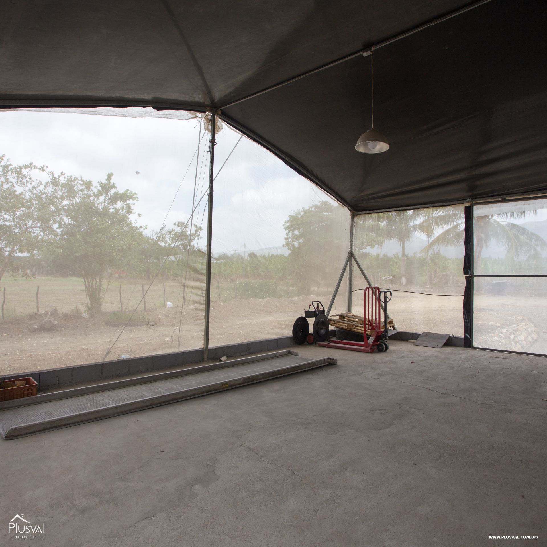 Proyecto de invernadero 25,000 m2 147297