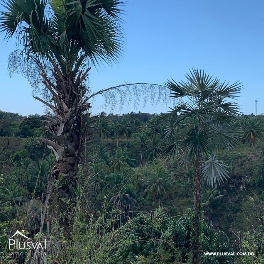 Finca de frutales en Yaguate, San Cristóbal 397866