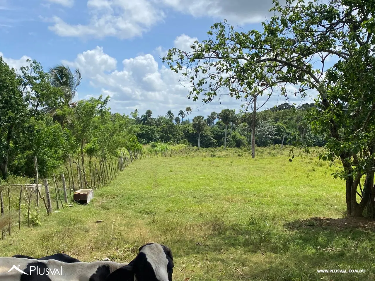 Terreno de 38 Tareas en Venta Gran Oportunidad de Inversión 456653