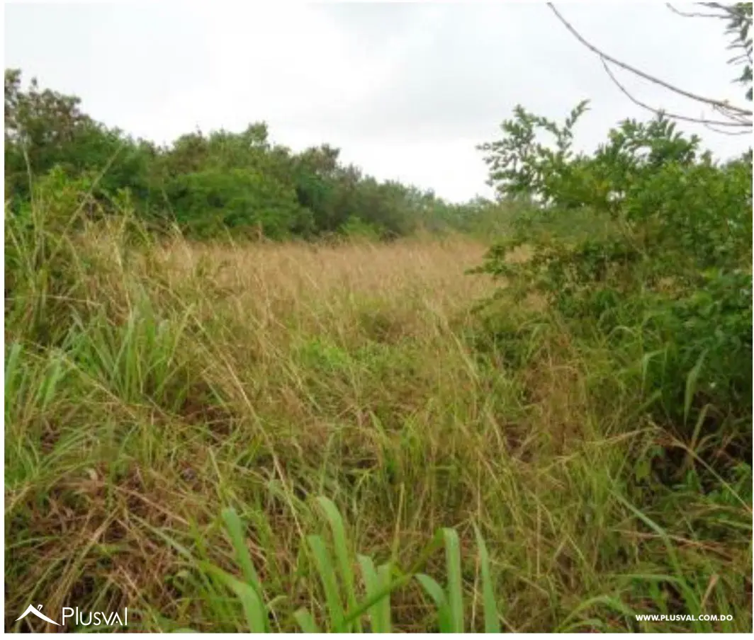 Solar en venta en el Higuero 498423