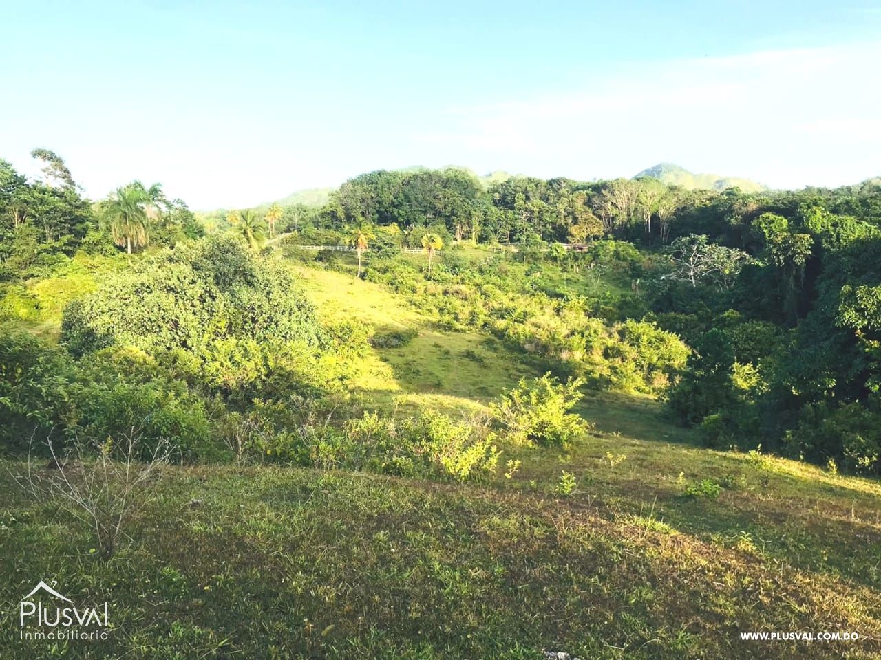 Finca en venta en Las Terrenas, inversión ideal en el paraíso 450784