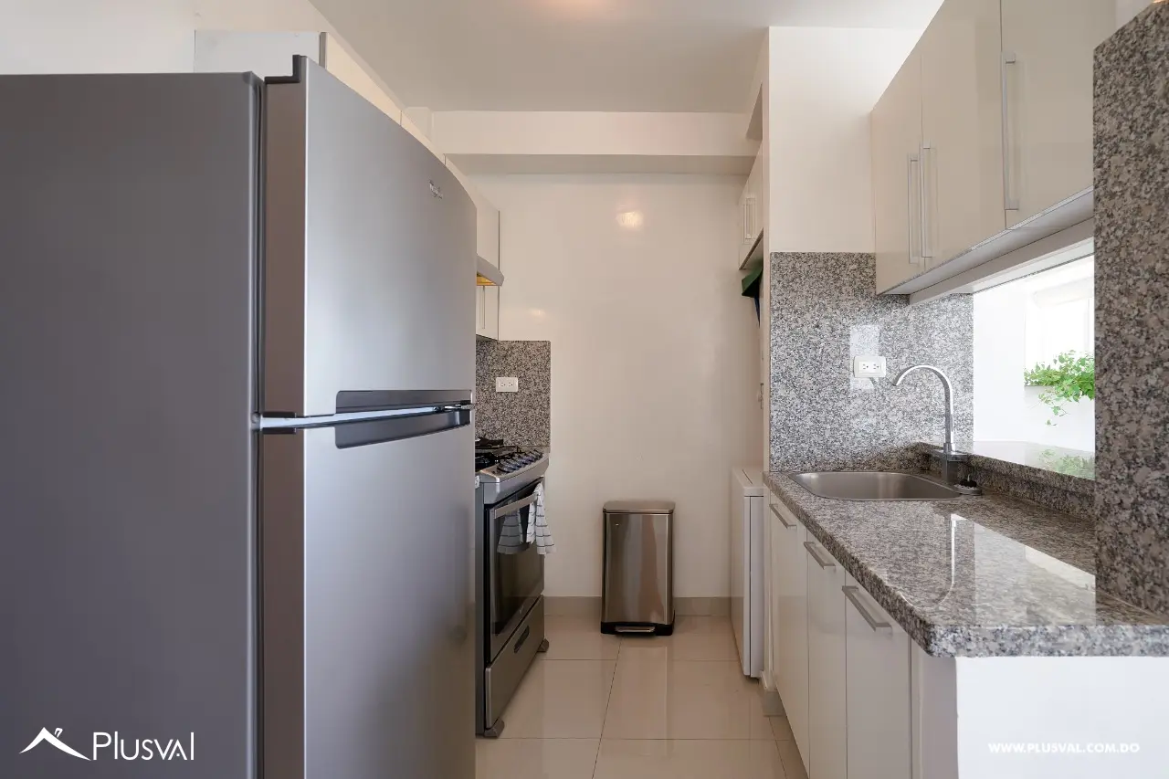 Alquiler de excelente apartamento de 1 habitacion 452710