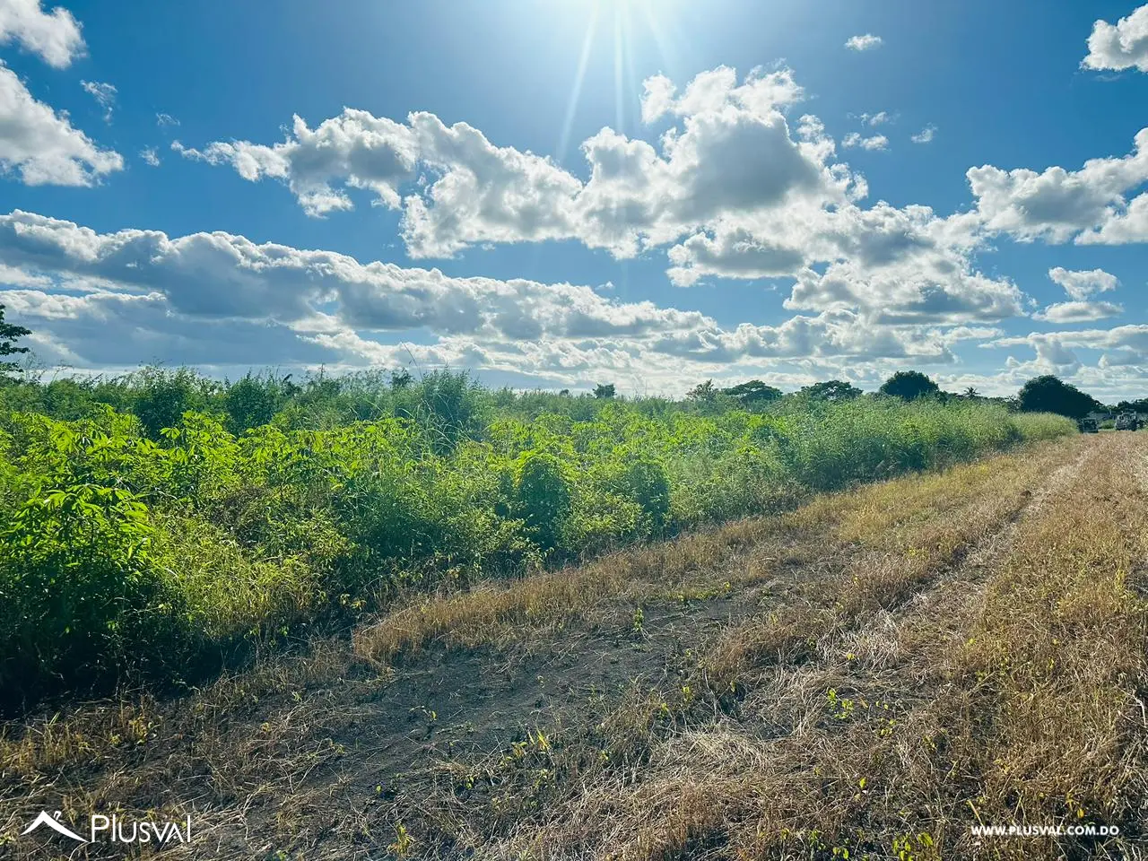 Residencial Las Trinitarias 474050