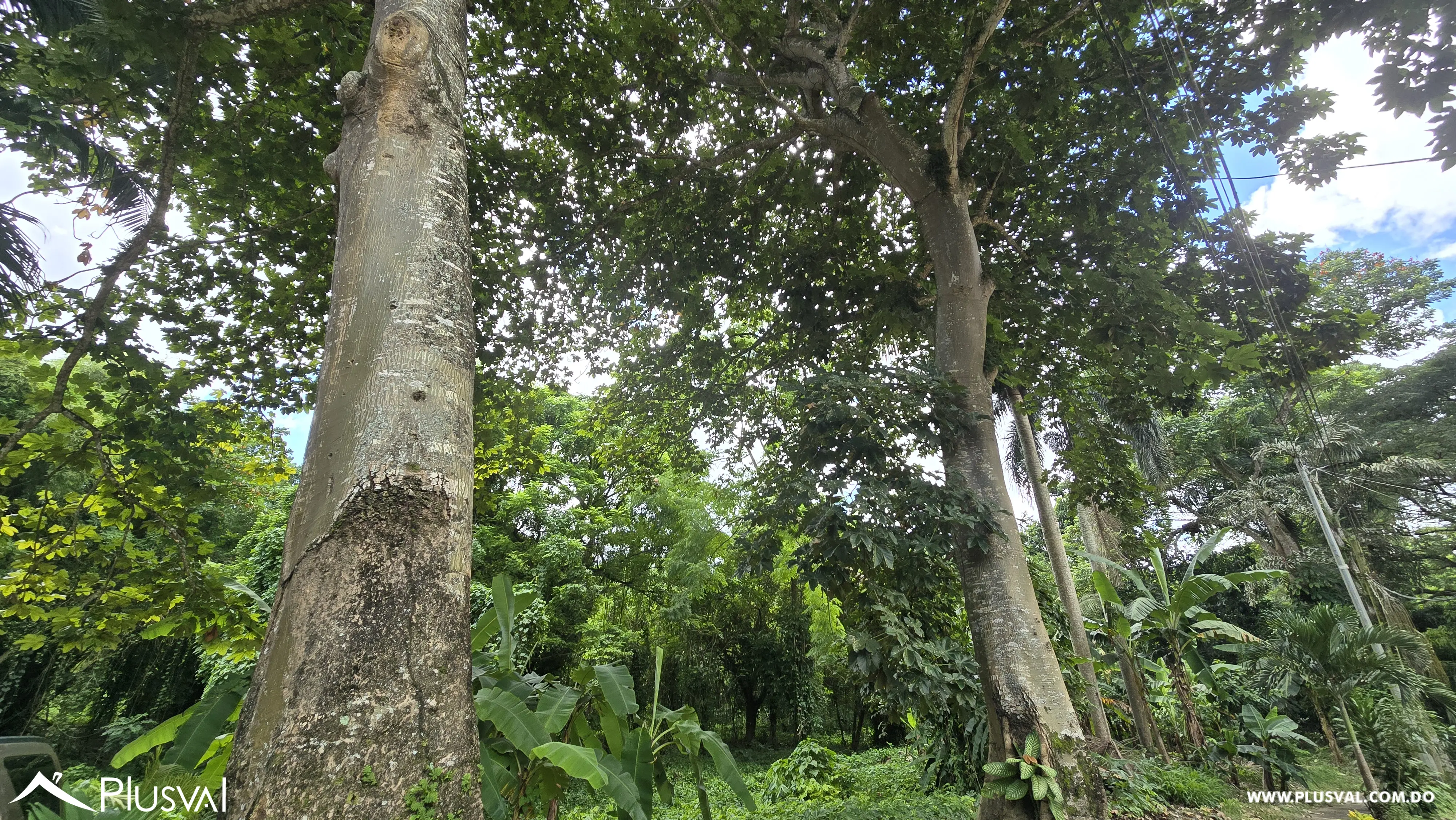 Solar de 35,846.73 en Venta, Arroyo Hondo 470484