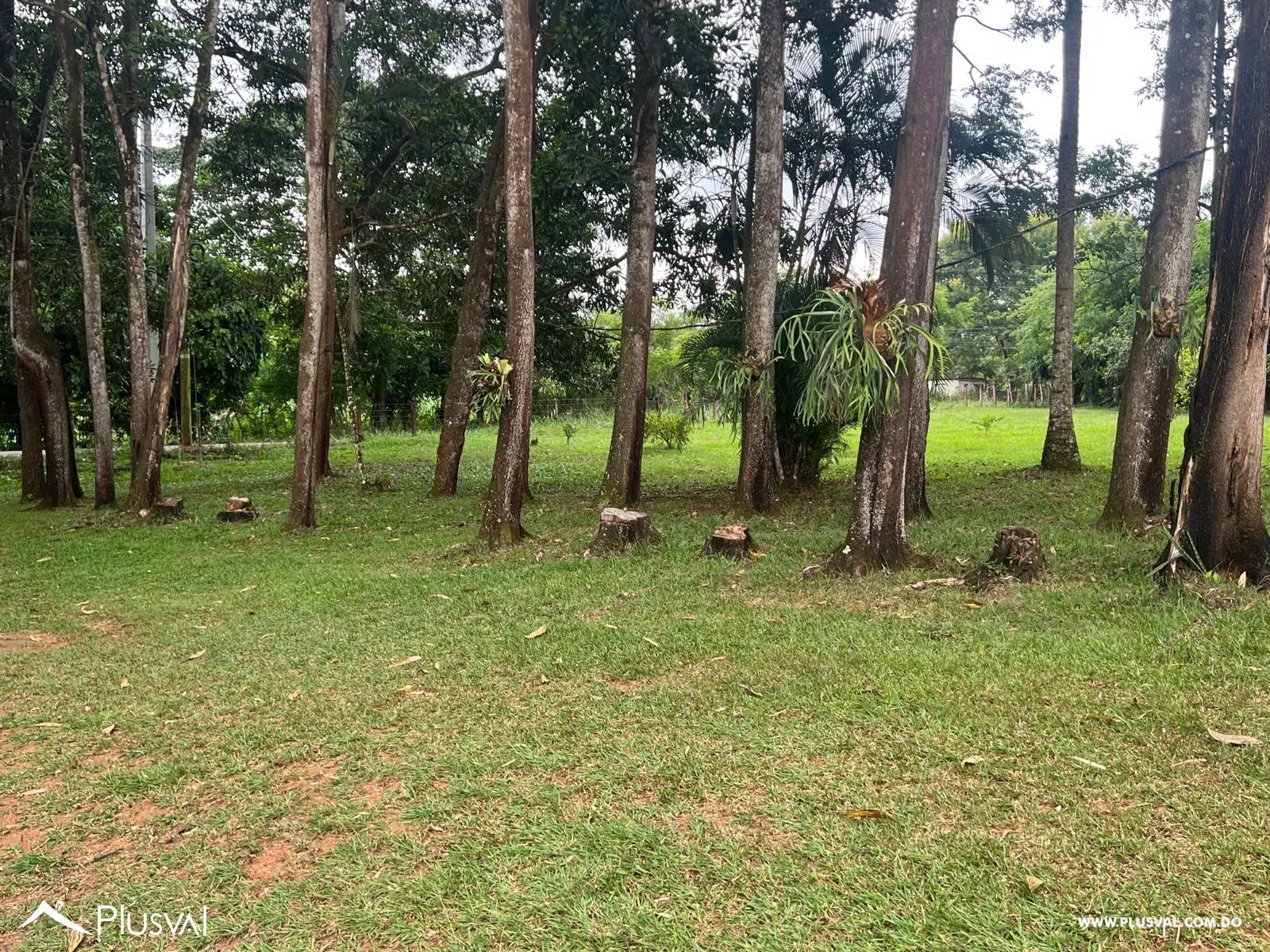 Finca a la venta en Piedra Blanca, Monseñor Nouel, carretera Yuboa 463566