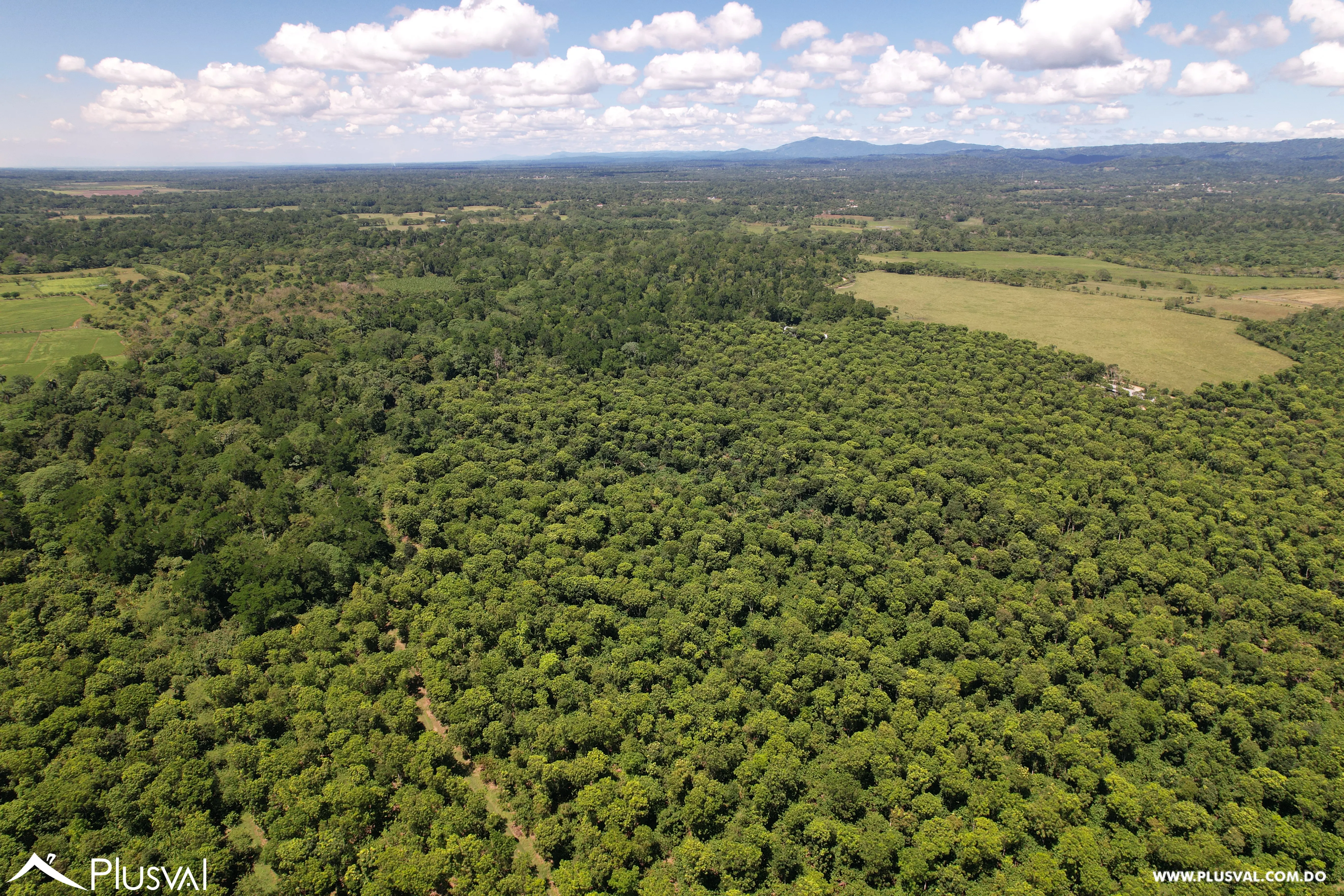 Finca de Cacao Orgánico Certificado en Venta en San Francisco de Macoris 506969
