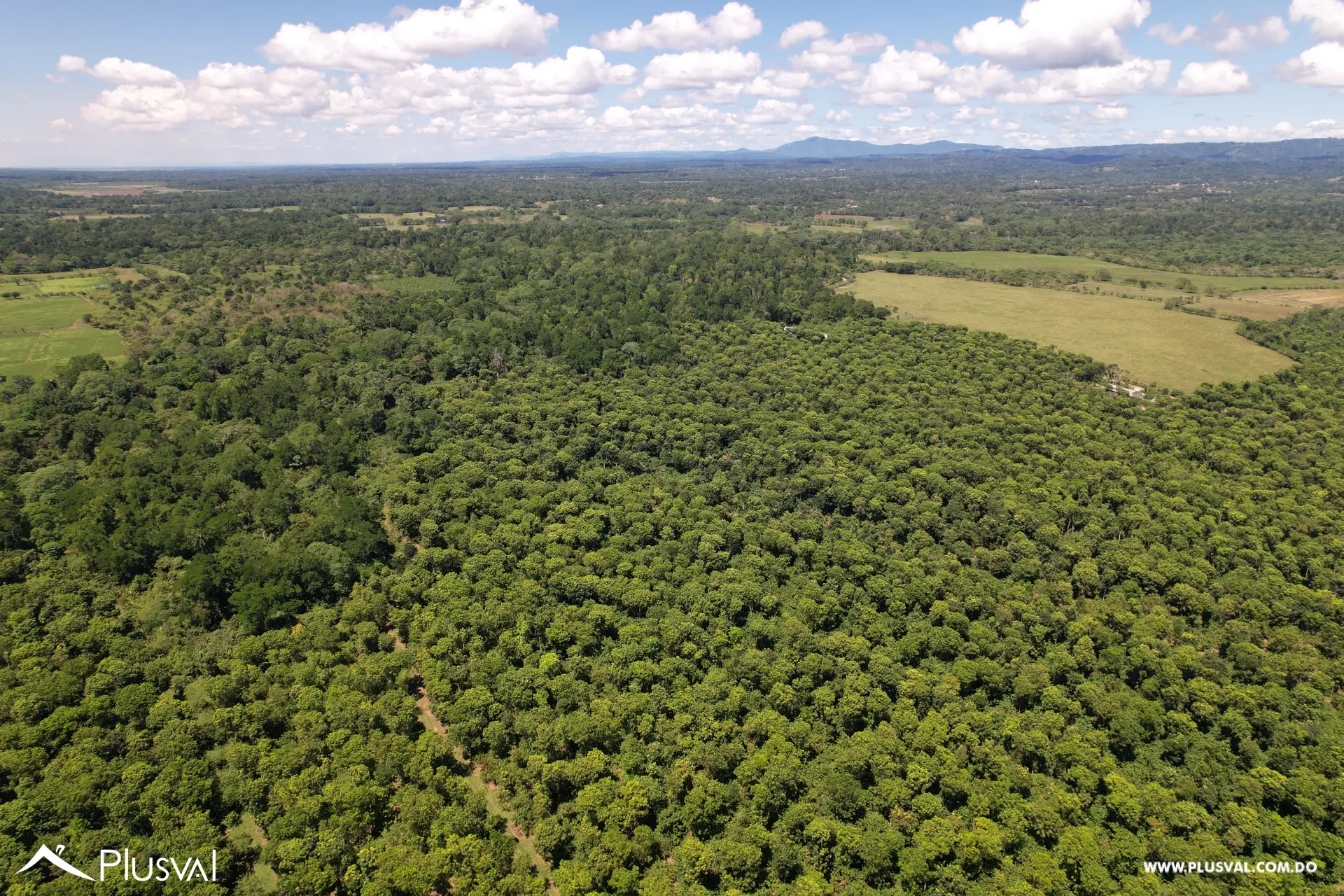 Finca de Cacao Orgánico Certificado en Venta en San Francisco de Macoris 506969