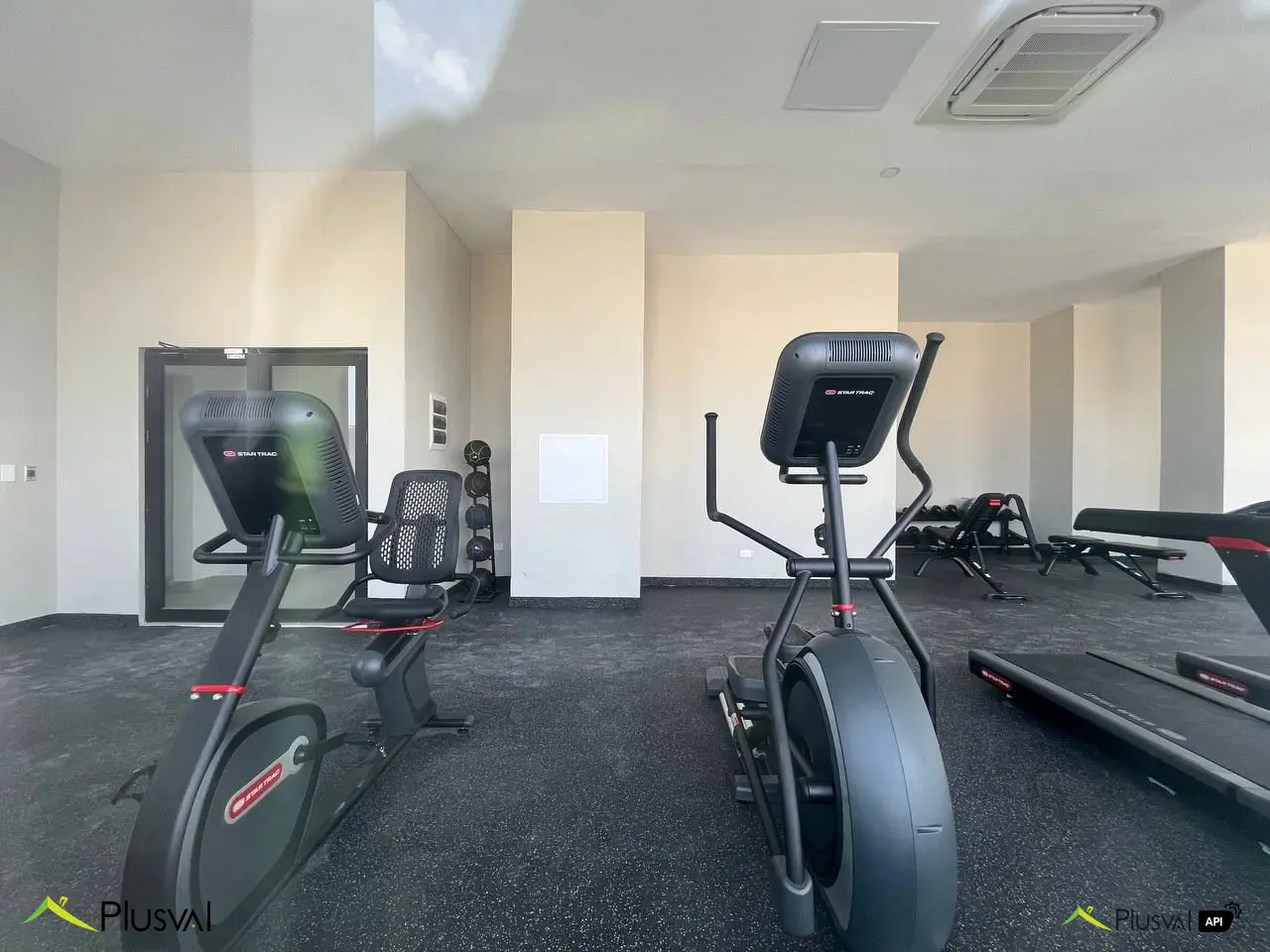 Alquiler de Apartamento en Naco 450053