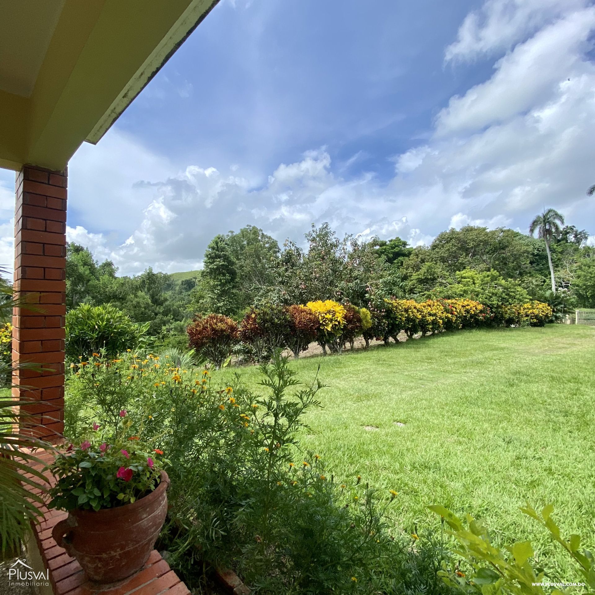 Finca de ganado y cacao en venta en Hato Mayor , Yerba Buena 416013
