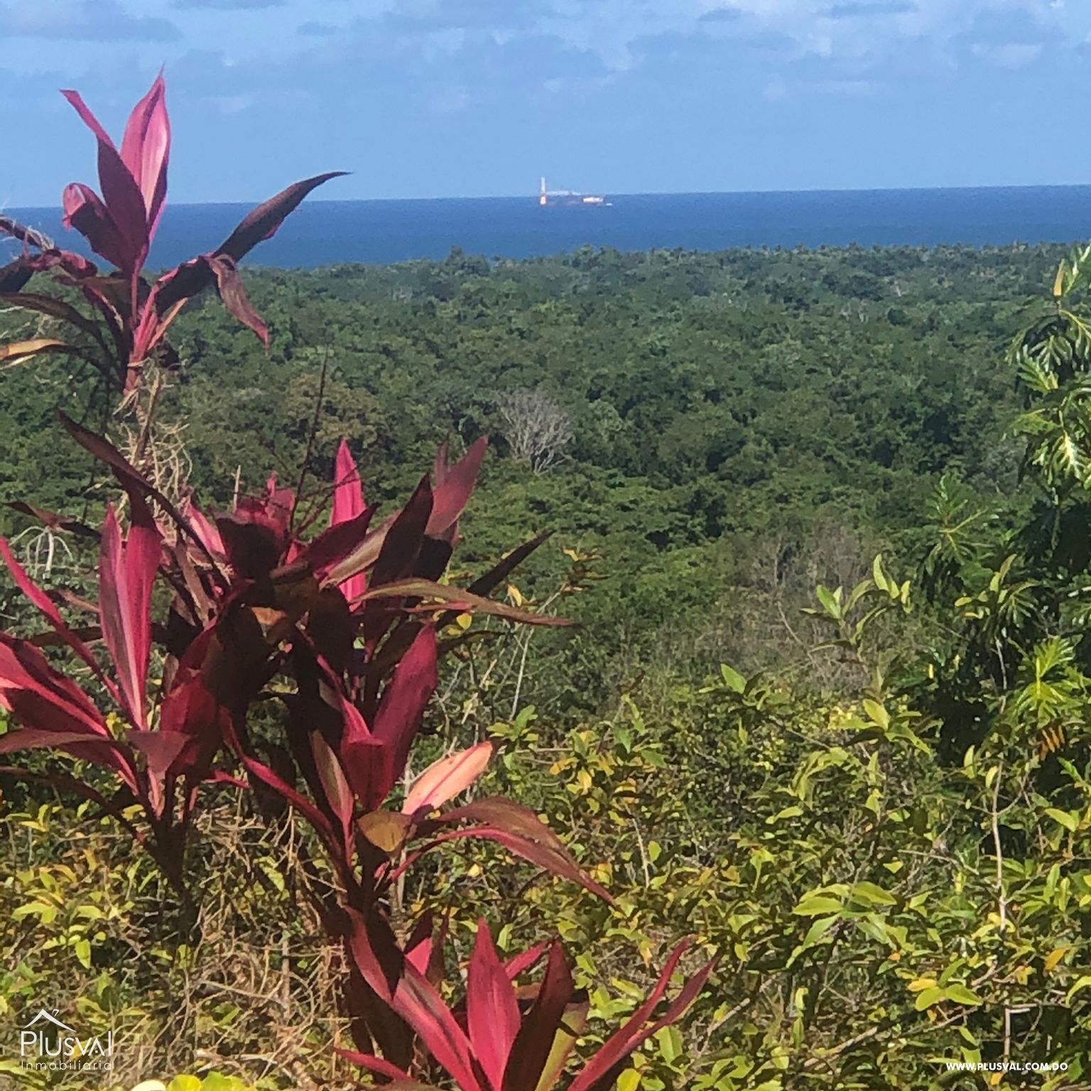 Venta de solar Las Galeras 307788