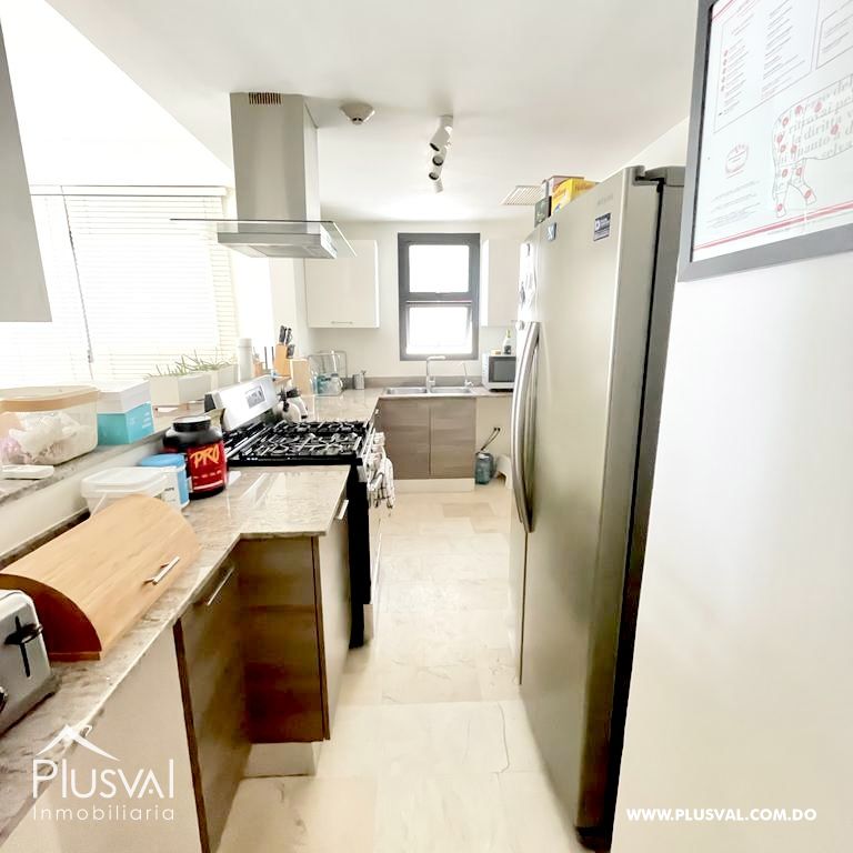 Apartamento en venta en Naco, piso 10 274844