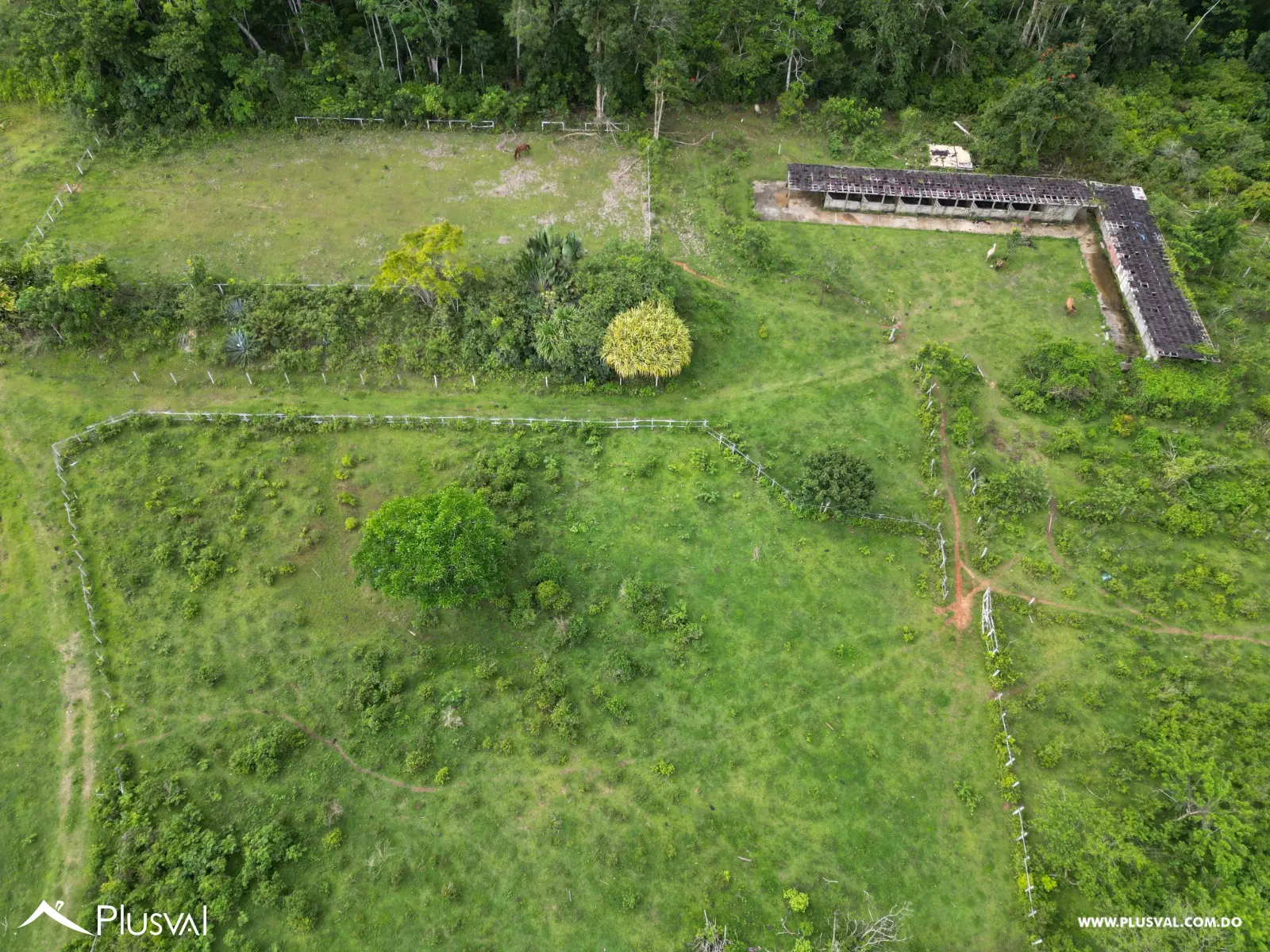 Terreno en Venta en Las Terrenas - Samaná | 190,930 m² Naturaleza y Altitud 463374