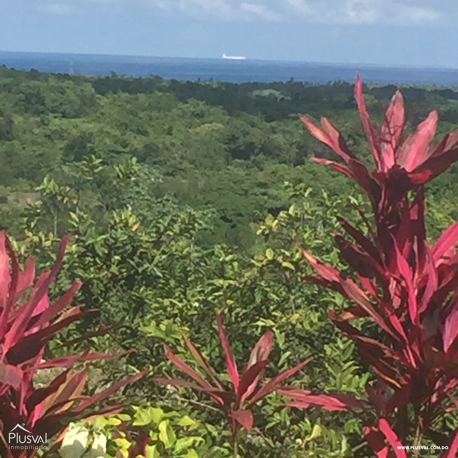Venta de solar Las Galeras 307795