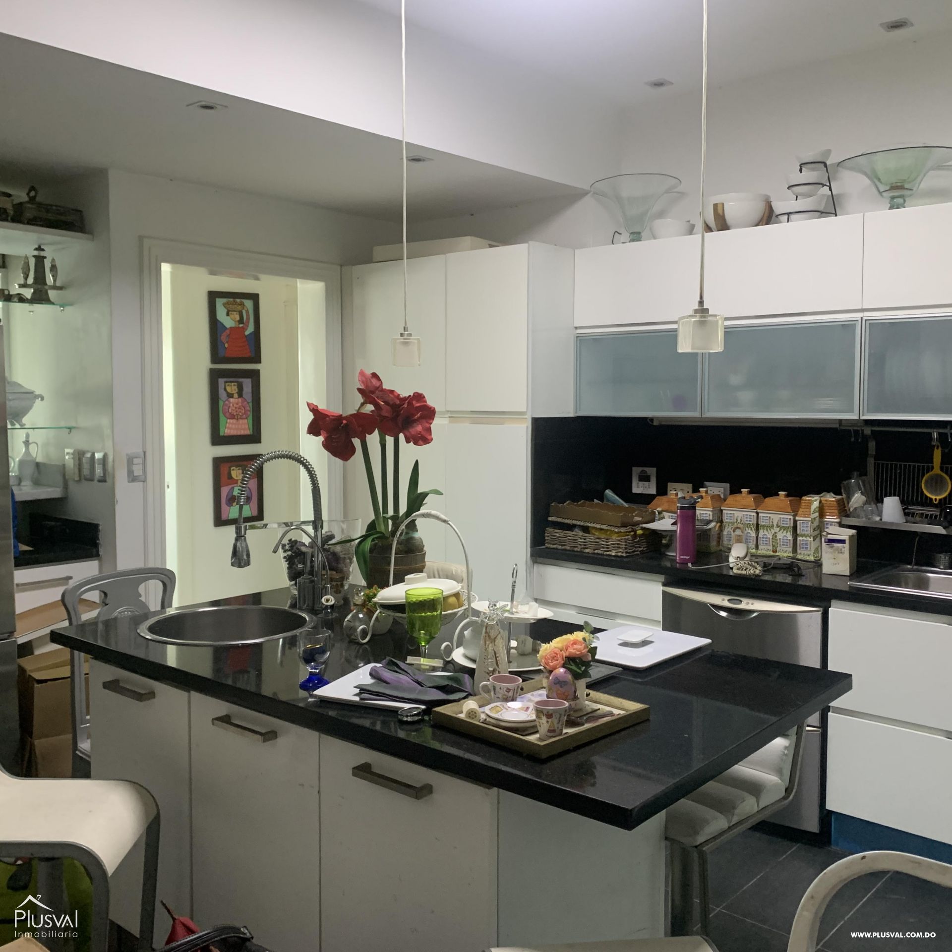 Hermoso y Acogedor Penthouse en Naco 220685