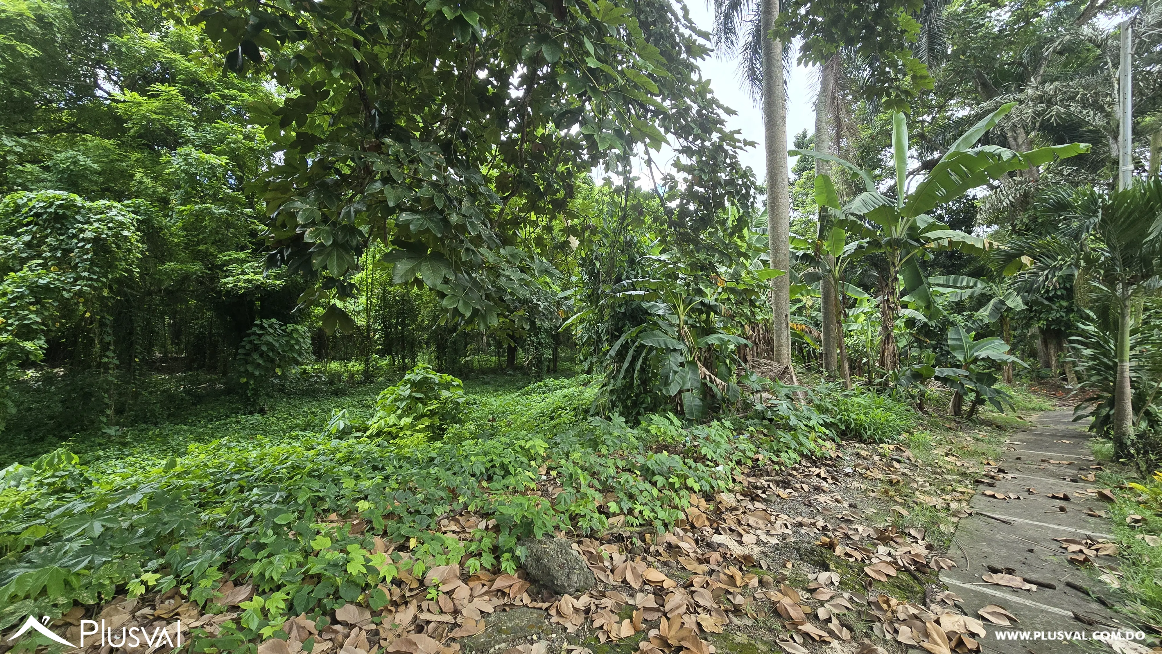 Solar de 35,846.73 en Venta, Arroyo Hondo 470482