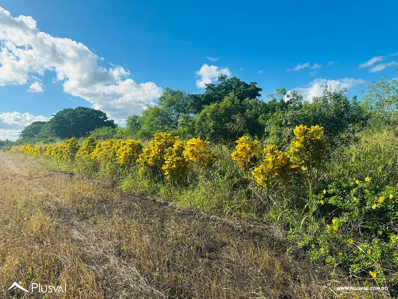 Residencial Las Trinitarias 474053