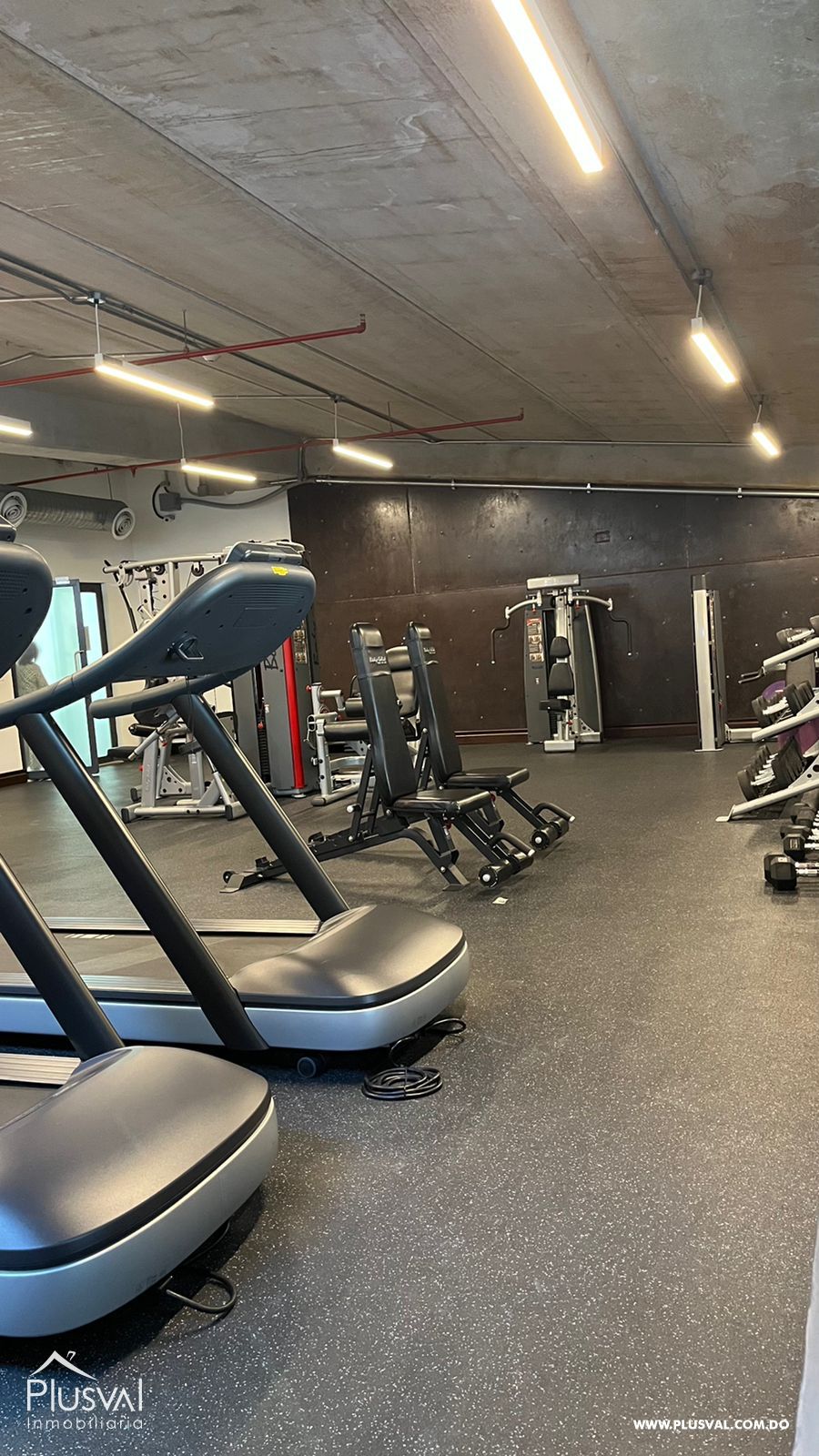 Local Comercial Alquiler, Piantini 238797