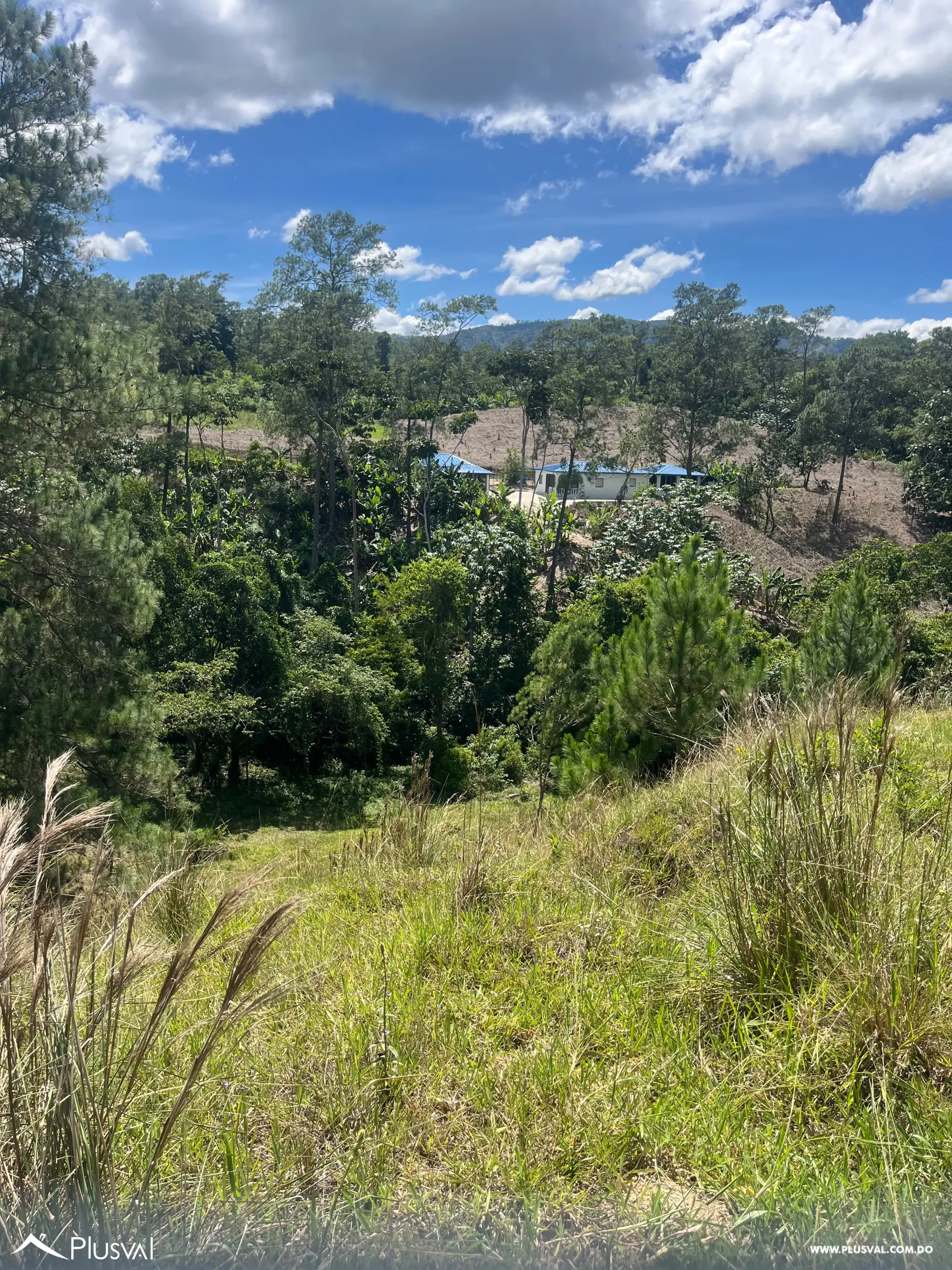 Excelente Terreno Ubicado en Jarabacoa, Ideal para proyecto residencial,finca o casa de veraneo , con excelente vista. 531182