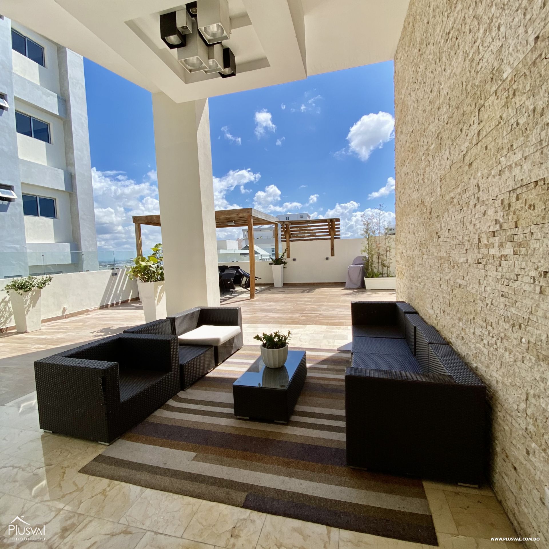 Apartamento en venta en Naco, piso 10 273226