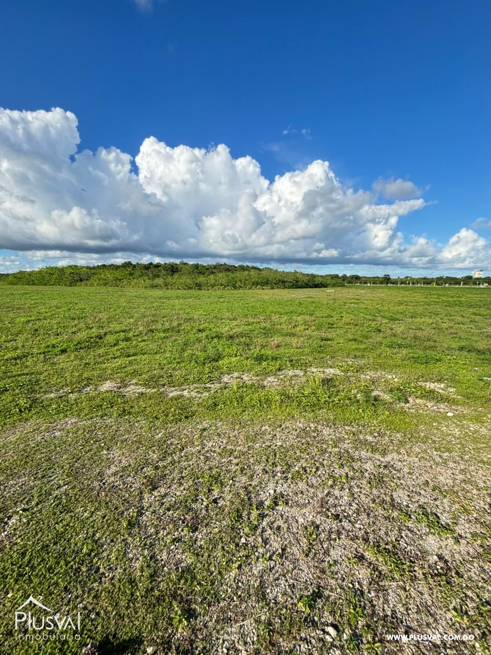 Terreno en Venta con alto potencial en Cap Cana 483068