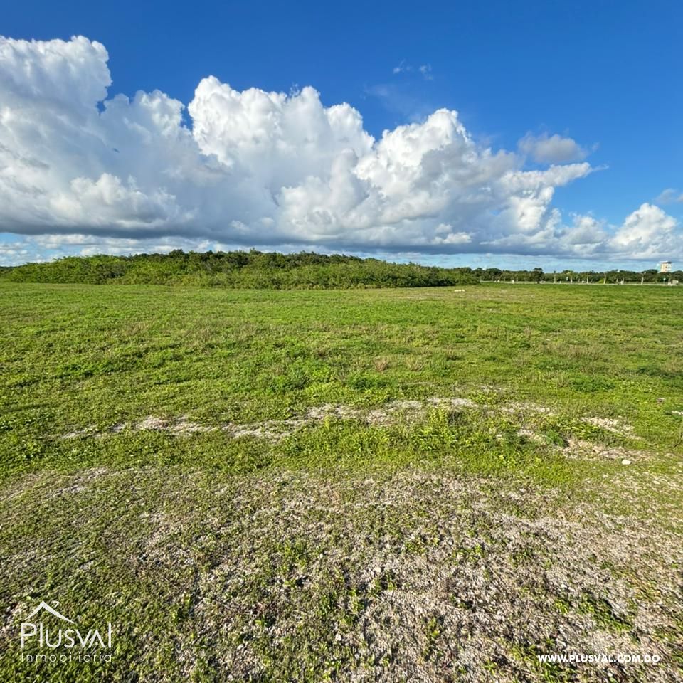 Terreno en Venta con alto potencial en Cap Cana 483068