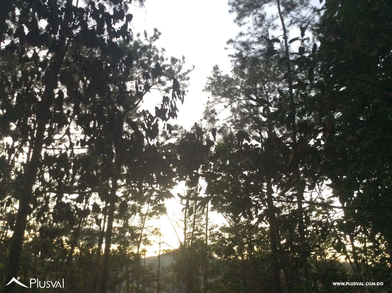 Solar a la venta - Tu refugio natural en Jarabacoa 496444