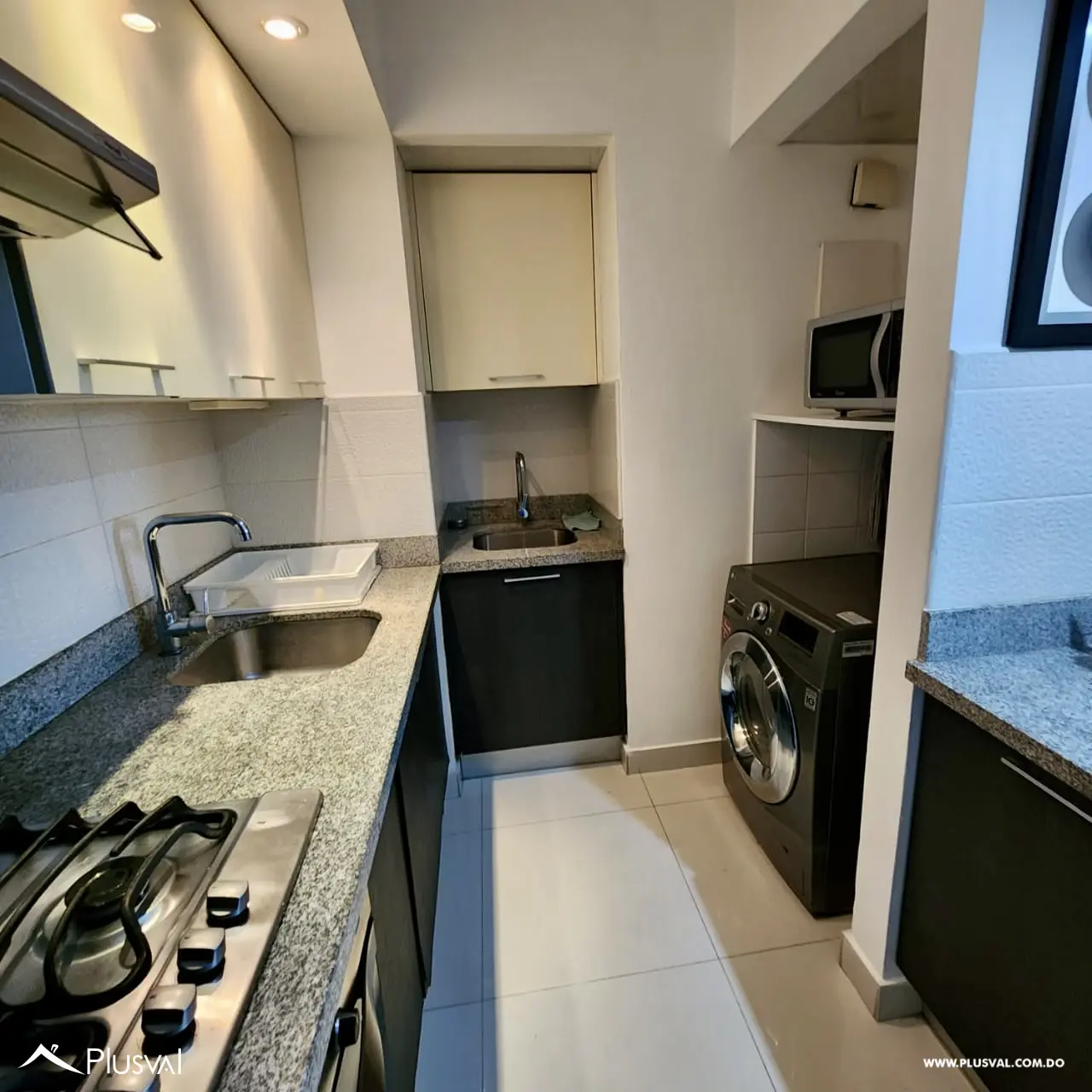 Apartamento en Alquiler Amueblado En Gazcue 467239