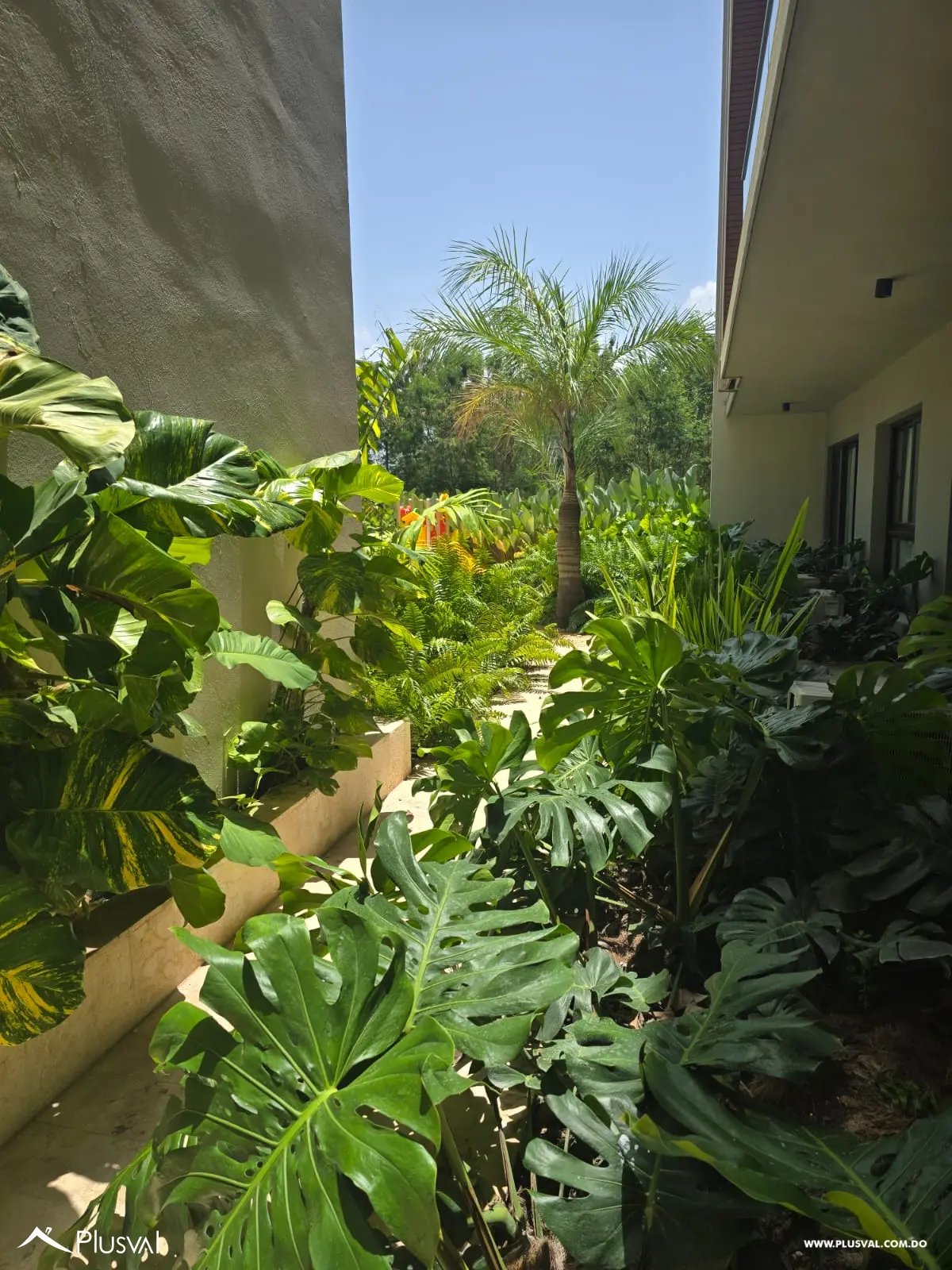 Alquiler apartamento de 2 Hab, Ciudad Las Canas 514628