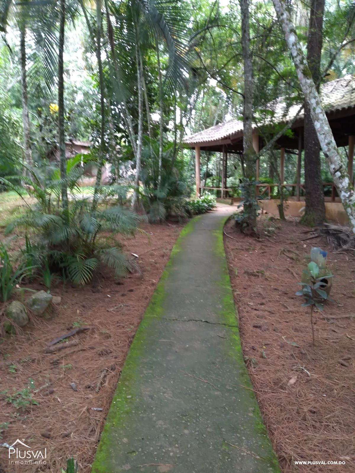 Vendo Excelente Finca en Rancho La Cumbre 429767
