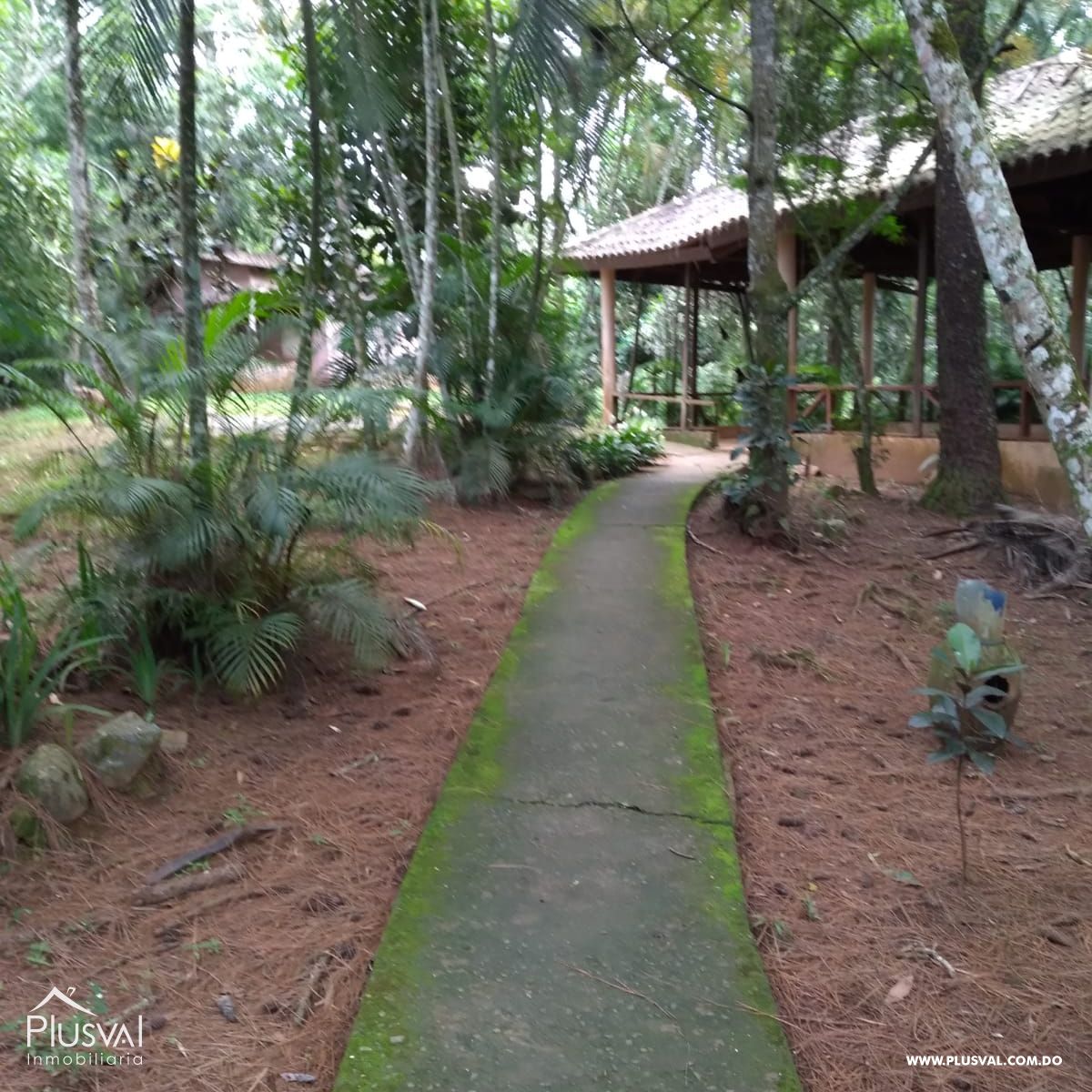 Vendo Excelente Finca en Rancho La Cumbre 429767