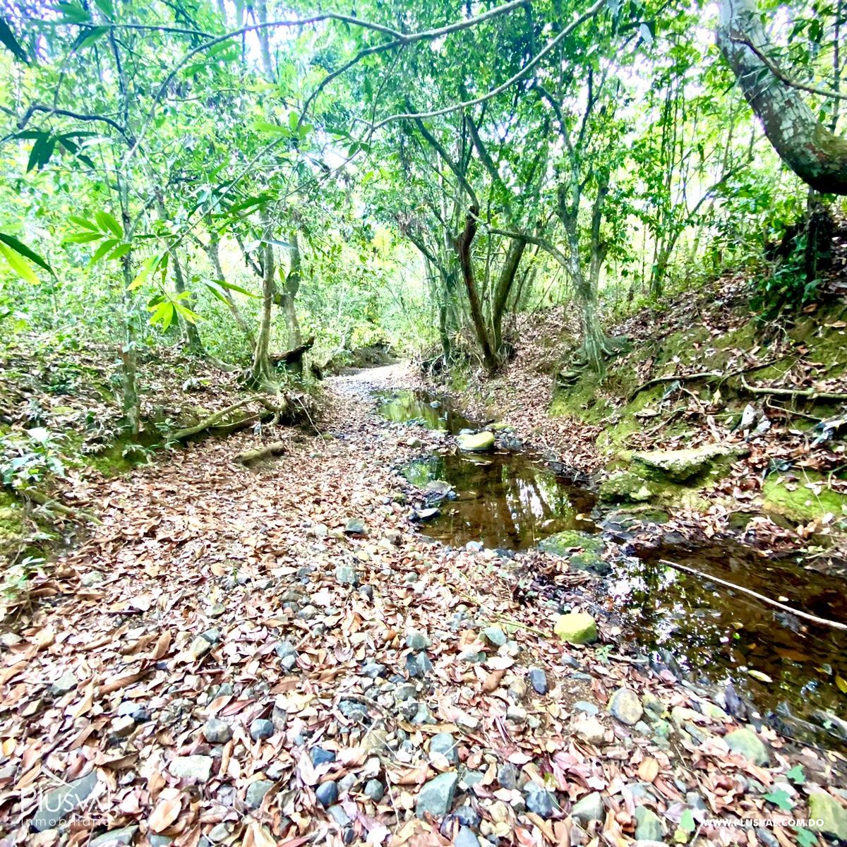Gran Terreno en Yamasa Para Venta 275145