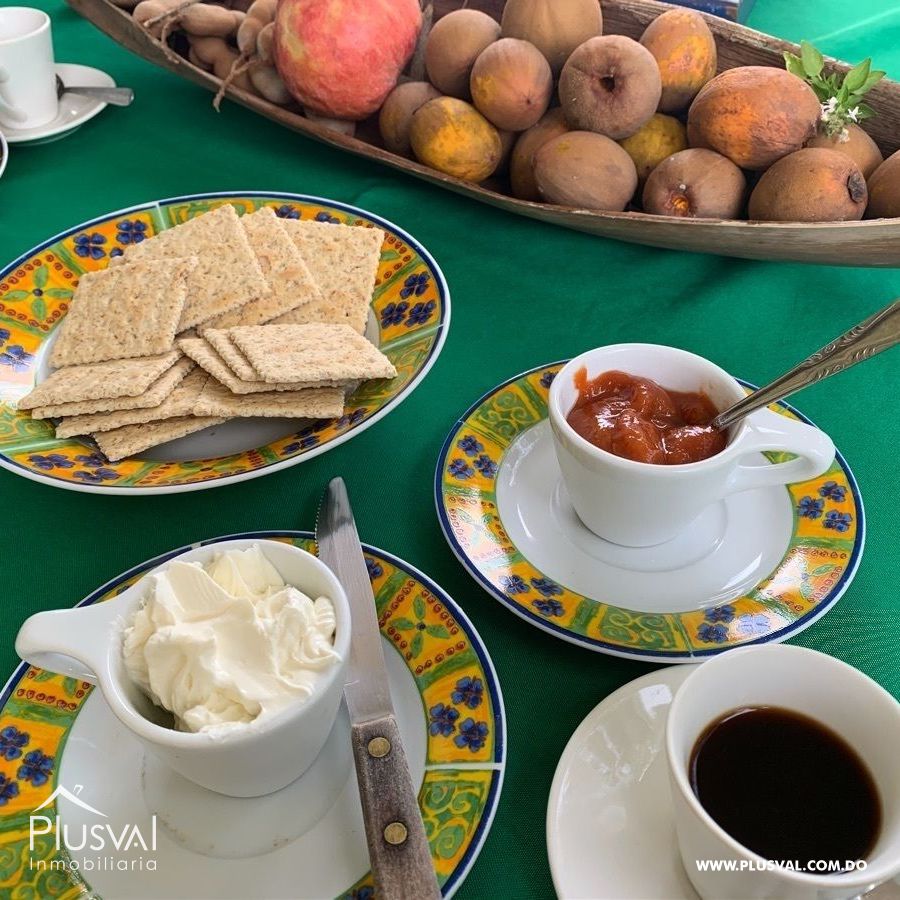 Finca de frutales en Yaguate, San Cristóbal 397853