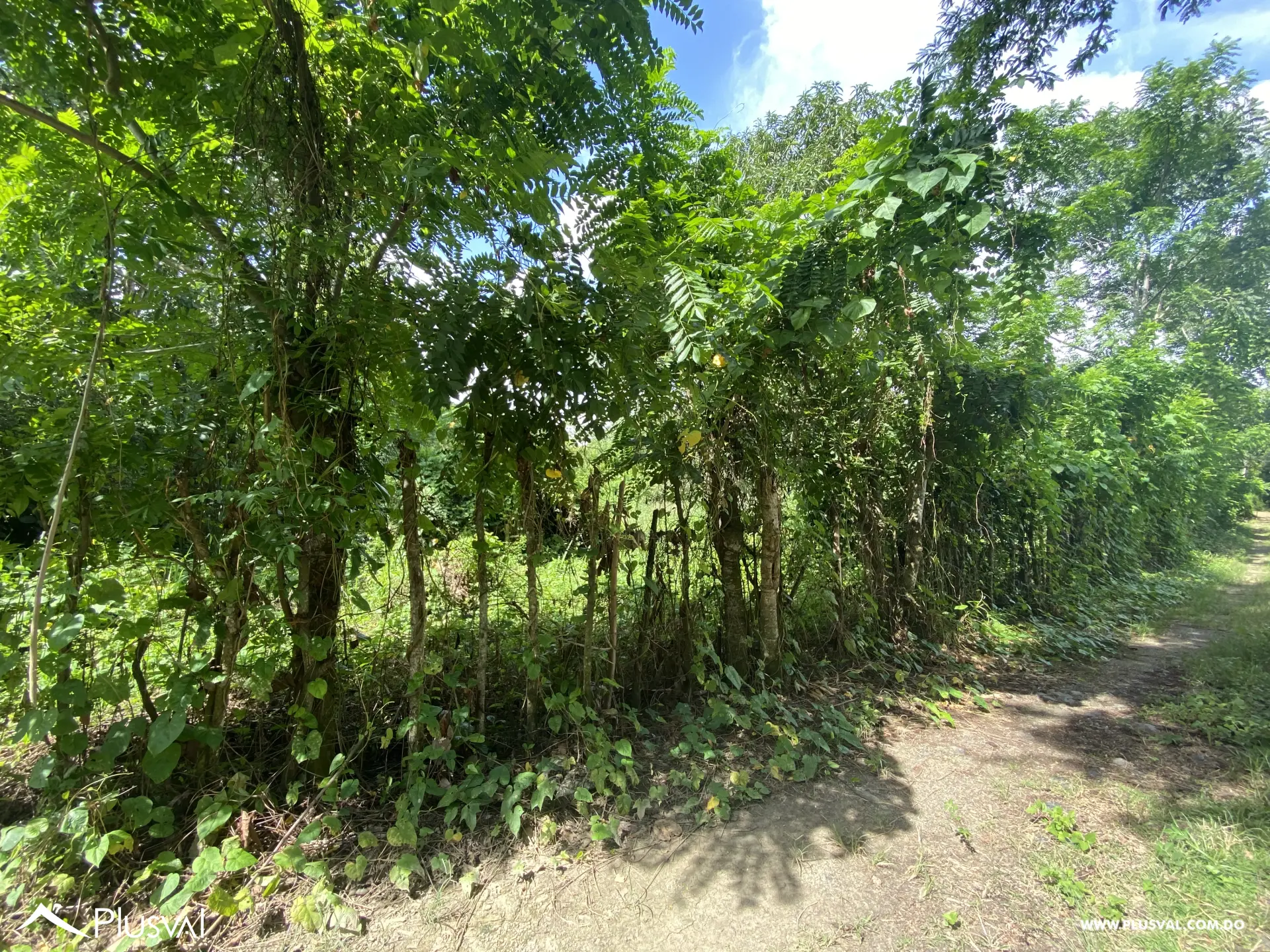 Vendo Excelente Solar en Pedro Brand 454460