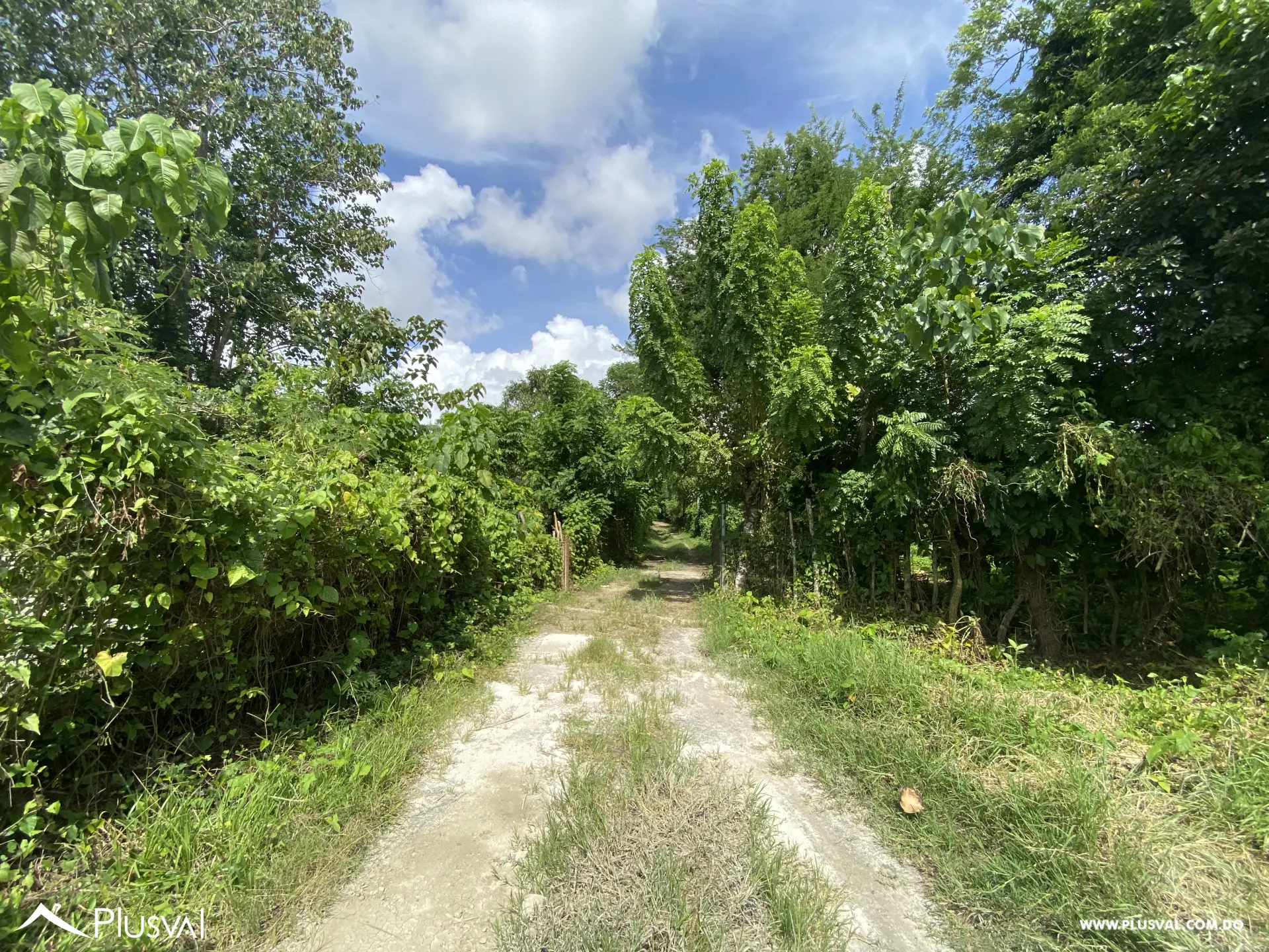 Vendo Excelente Solar en Pedro Brand 454461