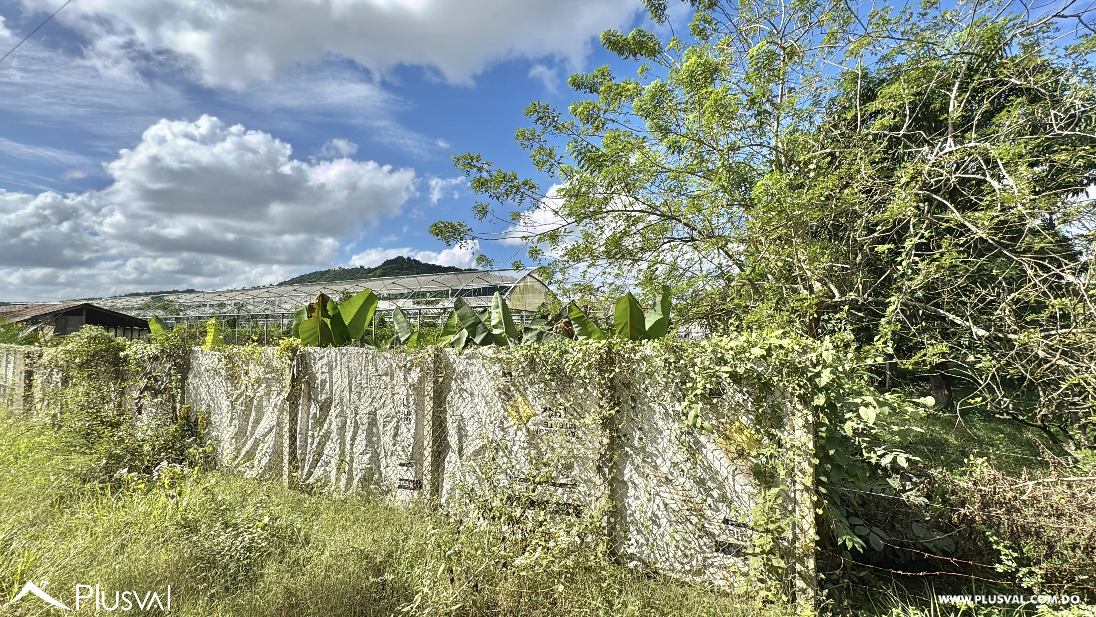 Vendo Maravillosa Finca con Importantes Mejoras en Pedro barnd 479760