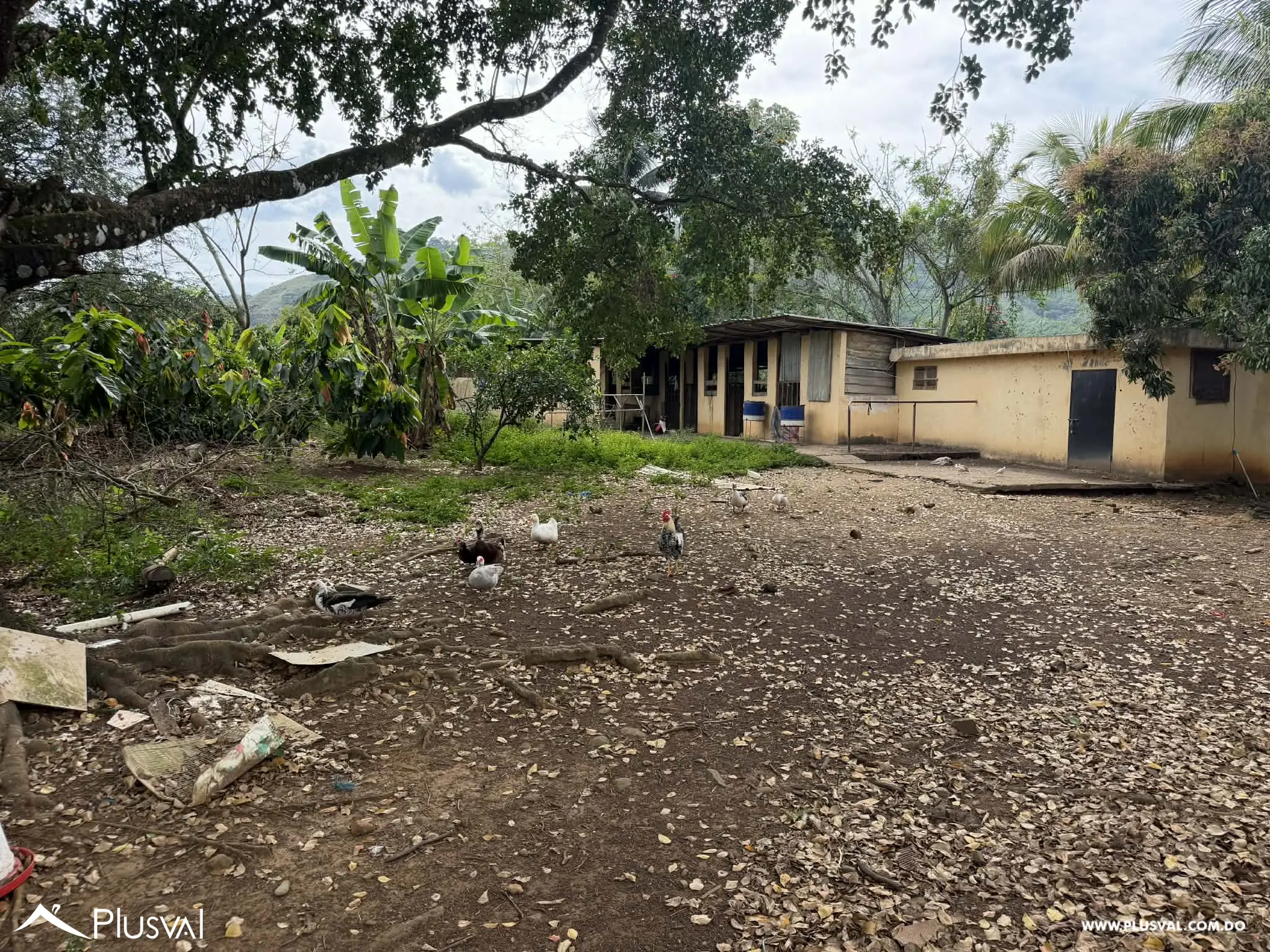 Hermosa Finca en Bonao en venta 496761