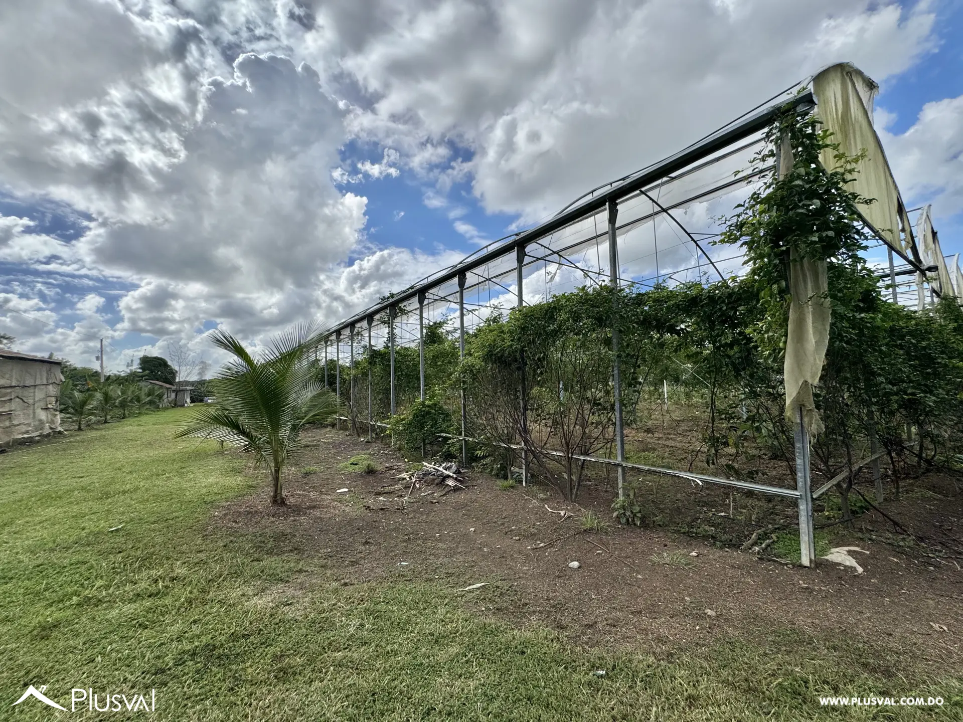 Vendo Maravillosa Finca con Importantes Mejoras en Pedro barnd 479776