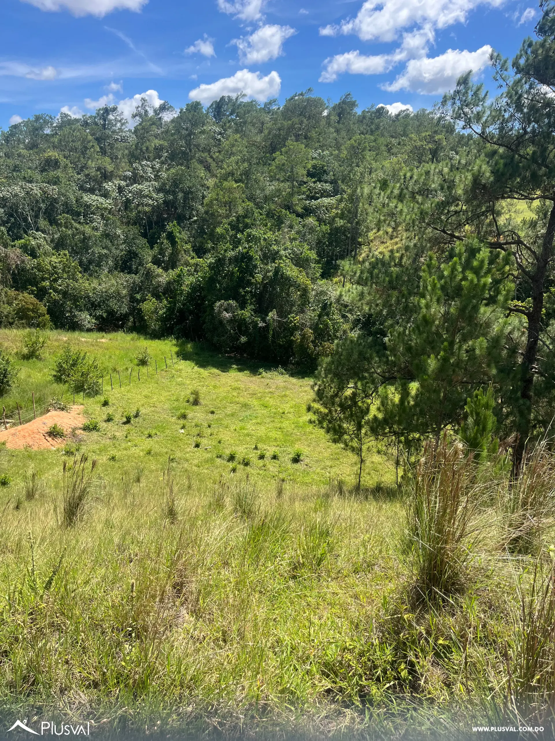 Excelente Terreno Ubicado en Jarabacoa, Ideal para proyecto residencial,finca o casa de veraneo , con excelente vista. 531180