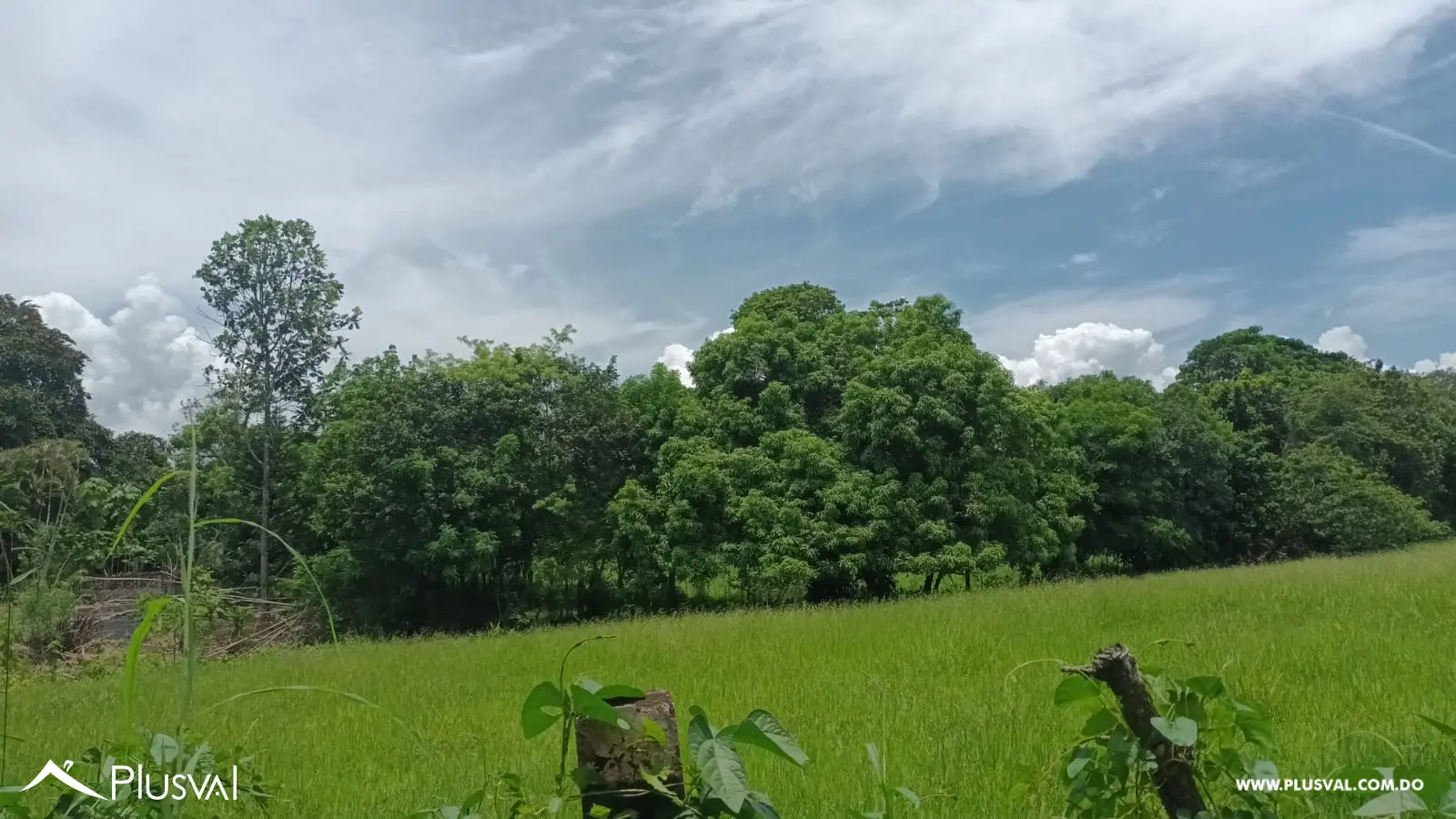 Finca a la venta en Piedra Blanca, Monseñor Nouel, carretera Yuboa 463555