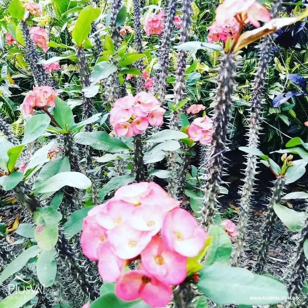Finca en venta en Hoyo Oscuro de Sierra Prieta 378230